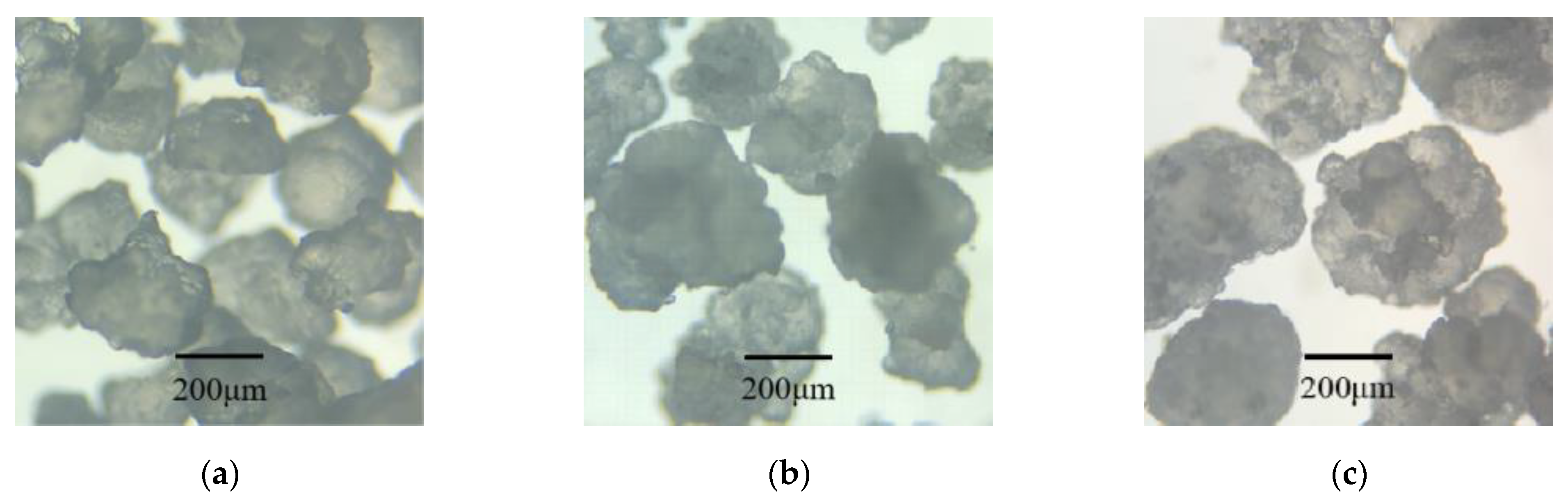 Buildings 13 00894 g001