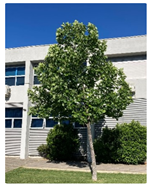 Buildings 13 01130 i001