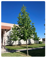 Buildings 13 01130 i002