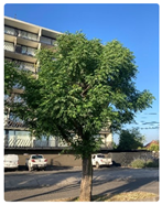 Buildings 13 01130 i004