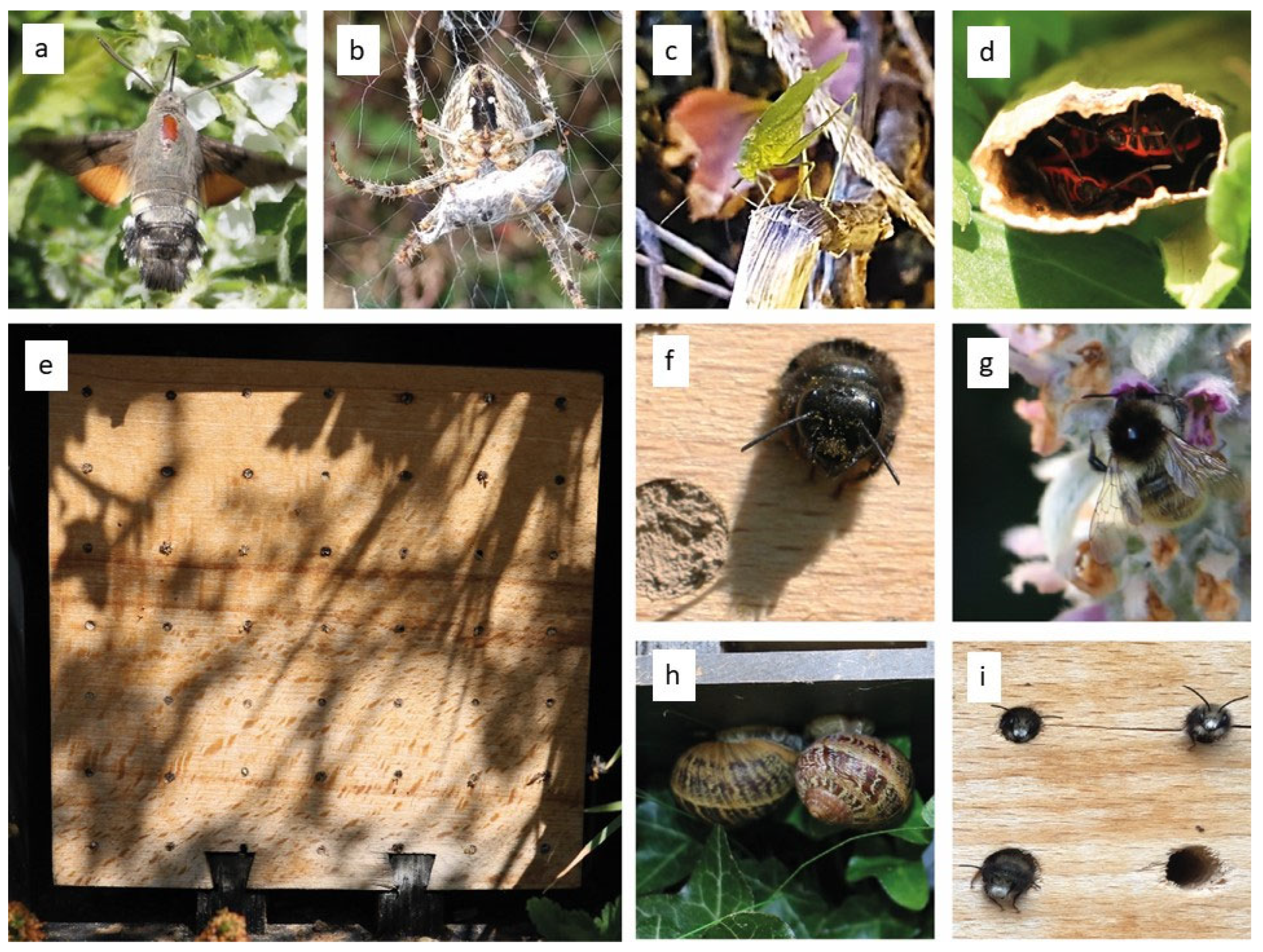 Buildings 13 01393 g012 Buildings 13 01393 g012