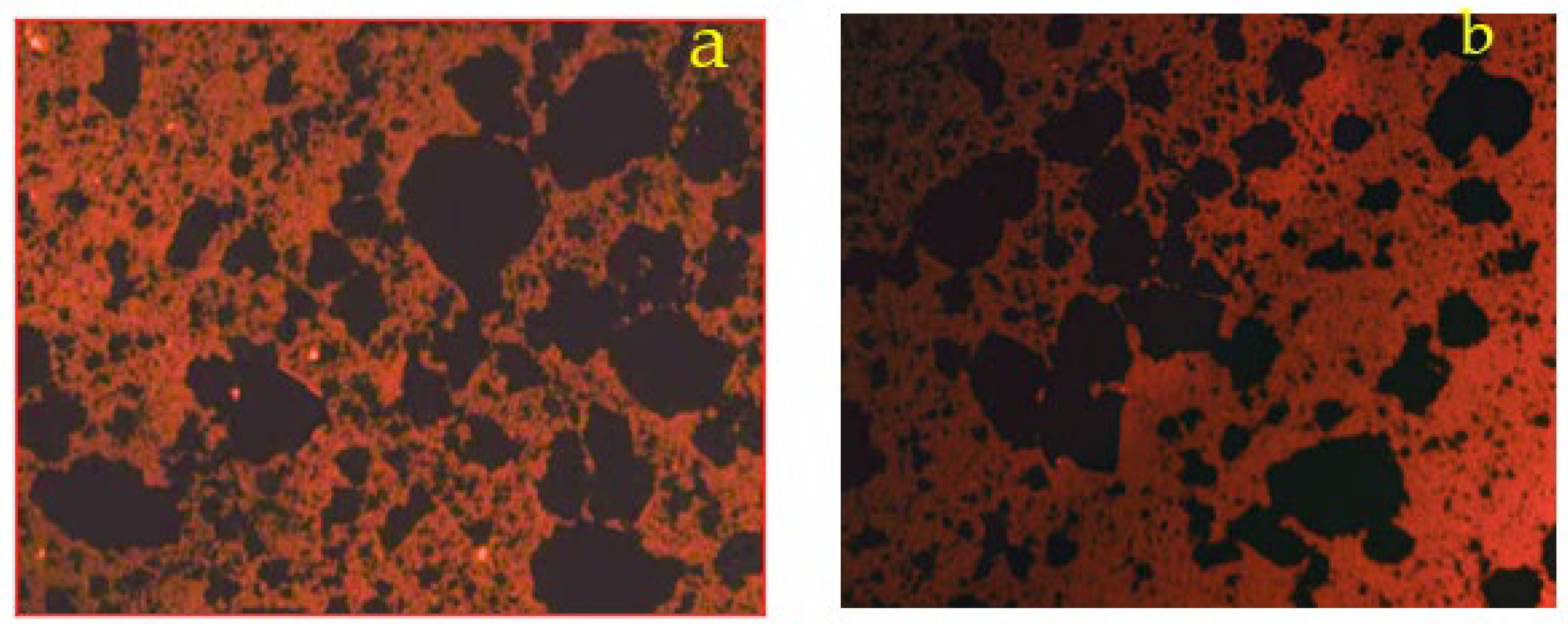 Buildings 13 01451 g012