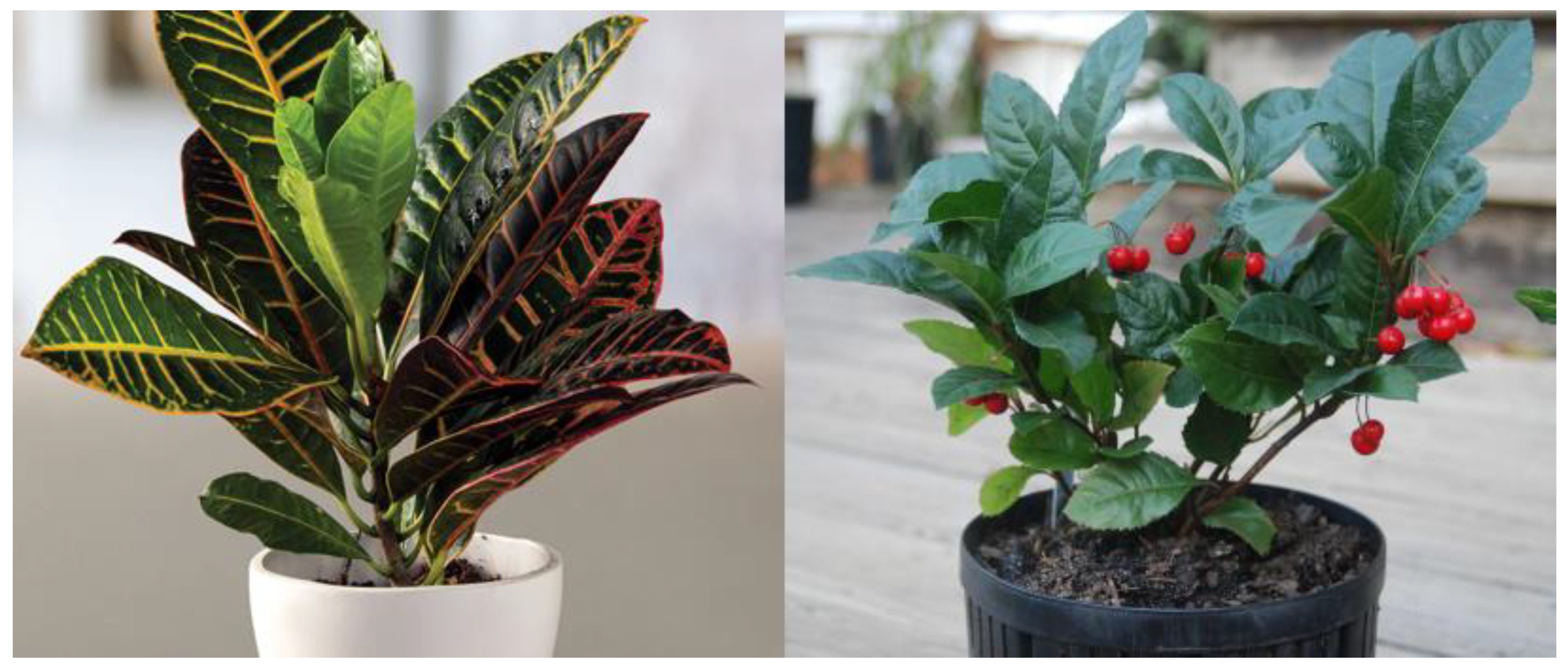 Buildings 13 01482 g011