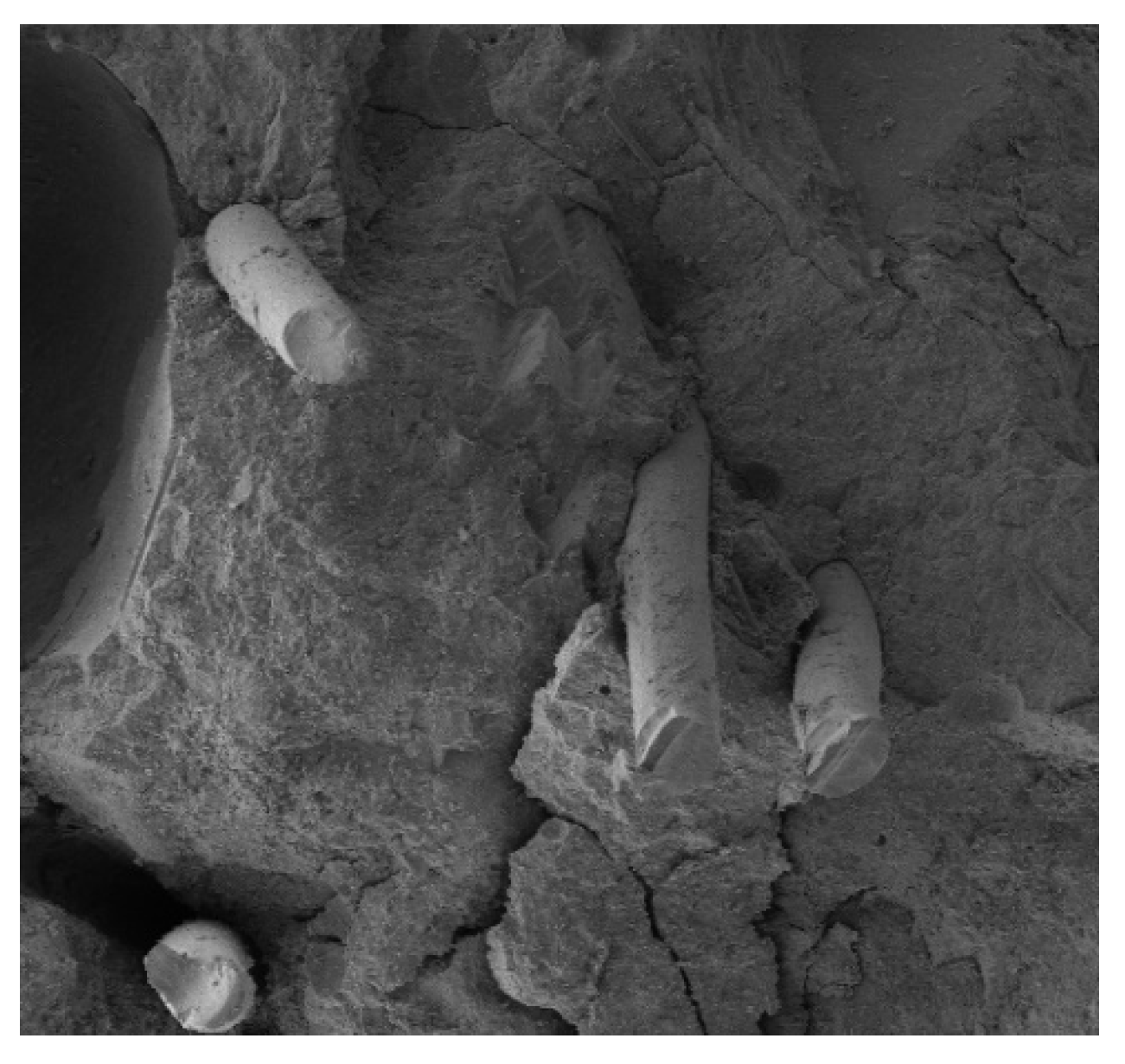 Buildings 13 01565 g012