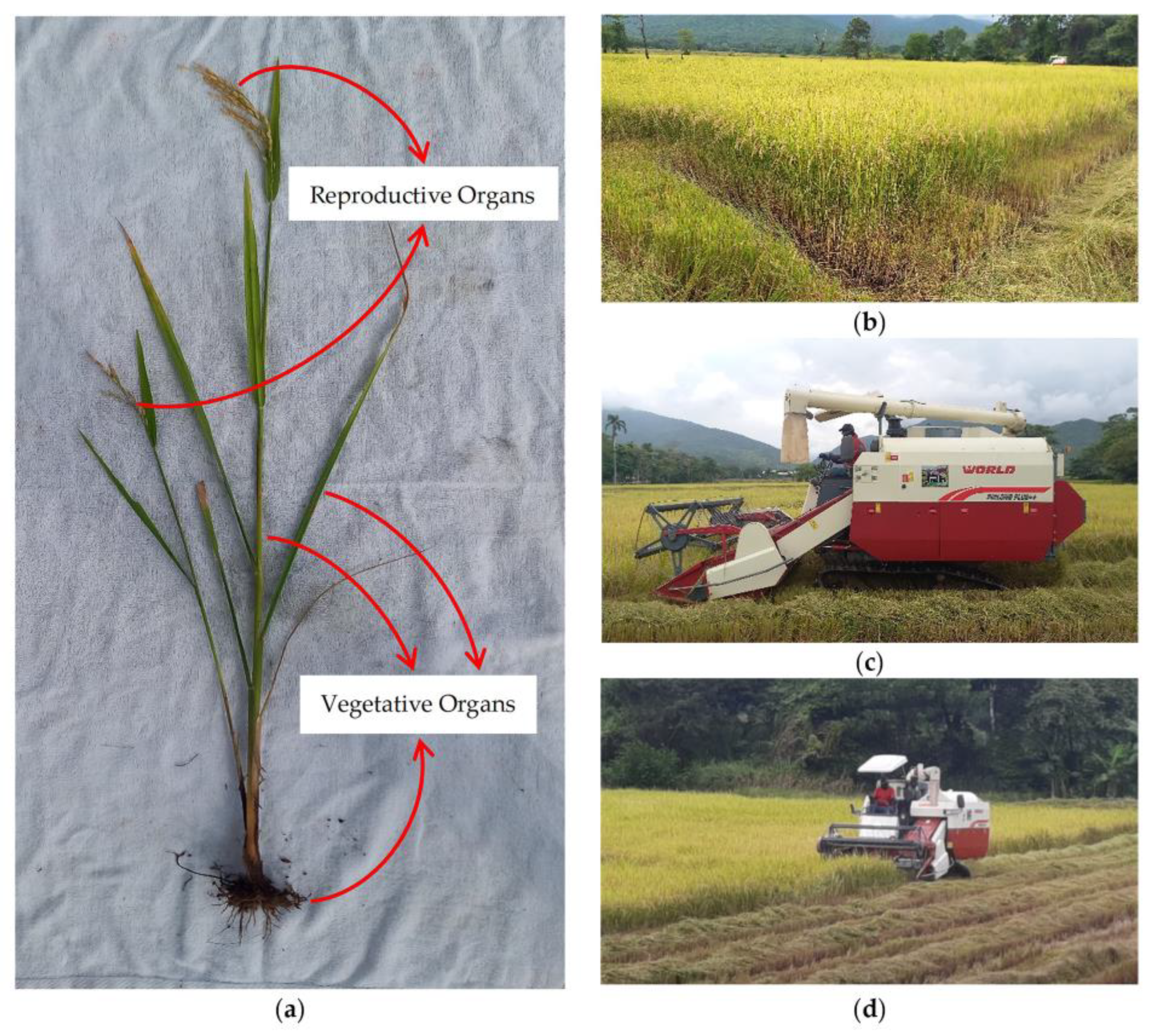 Buildings 13 01573 g002