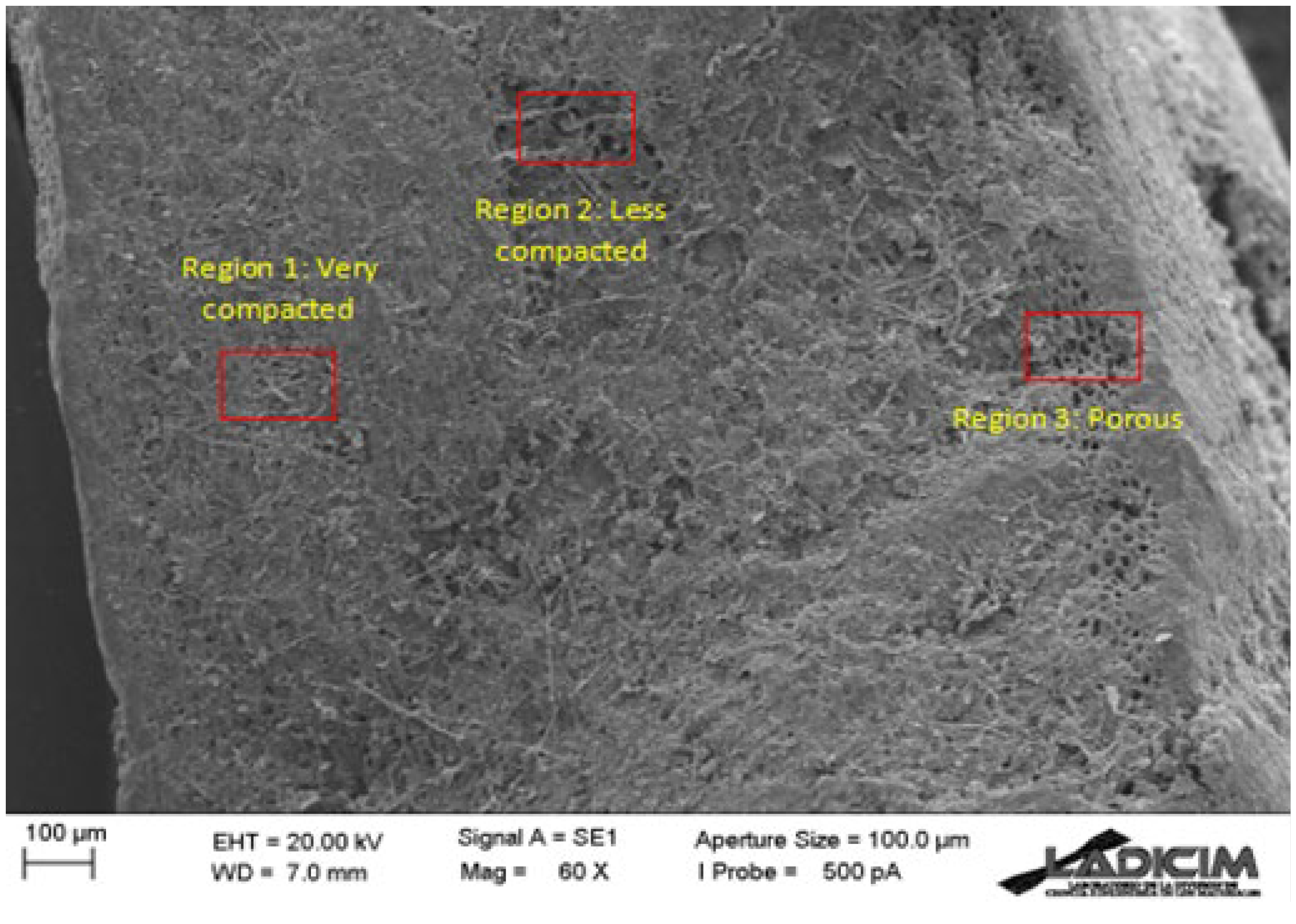 Buildings 13 01588 g002