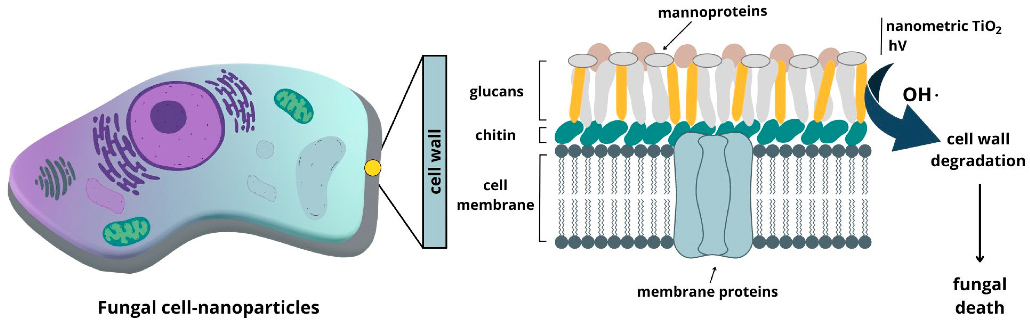 Buildings 13 01736 g005 Buildings 13 01736 g005