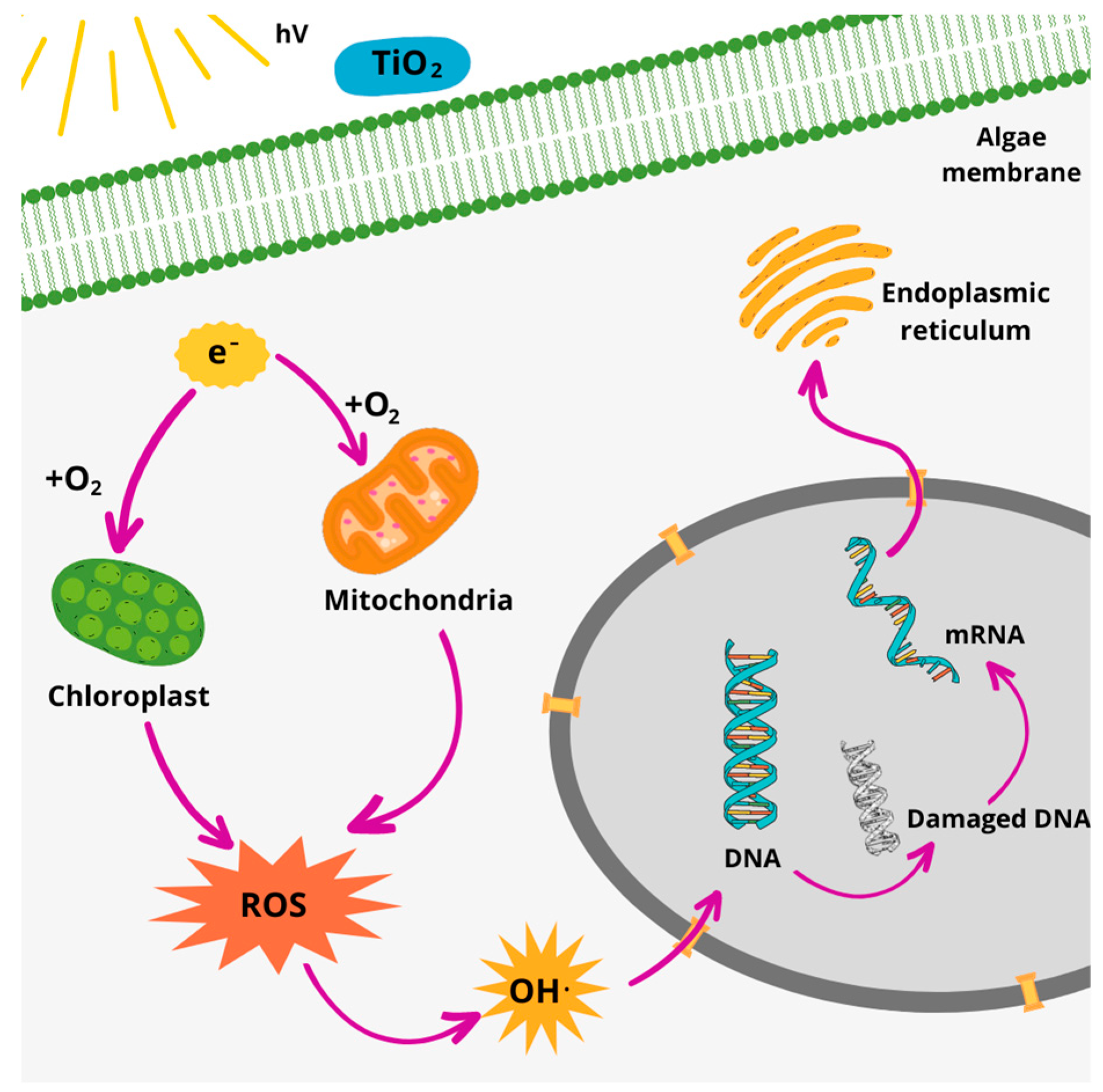 Buildings 13 01736 g006 Buildings 13 01736 g006