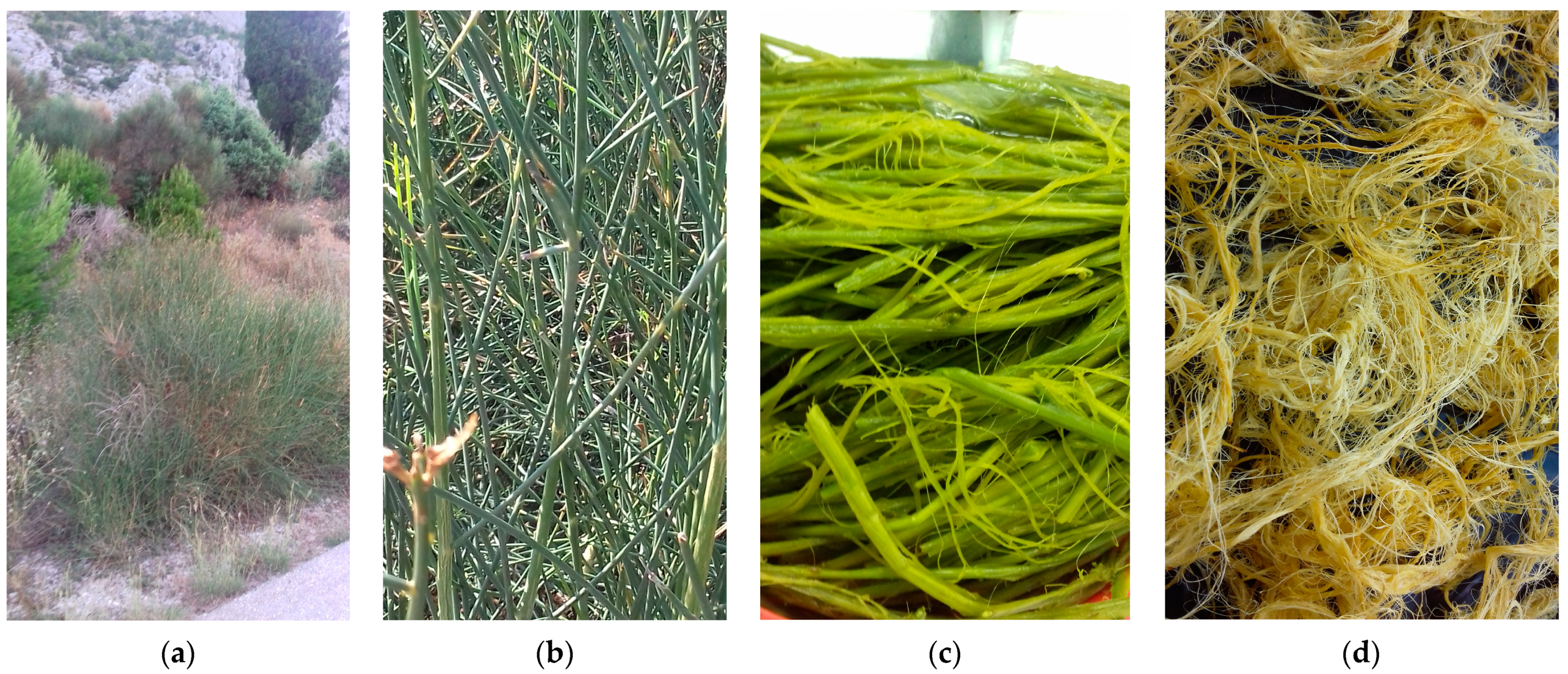 Buildings 13 01910 g001