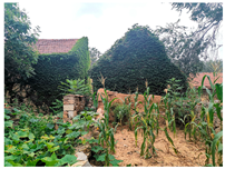 Buildings 13 01923 i019