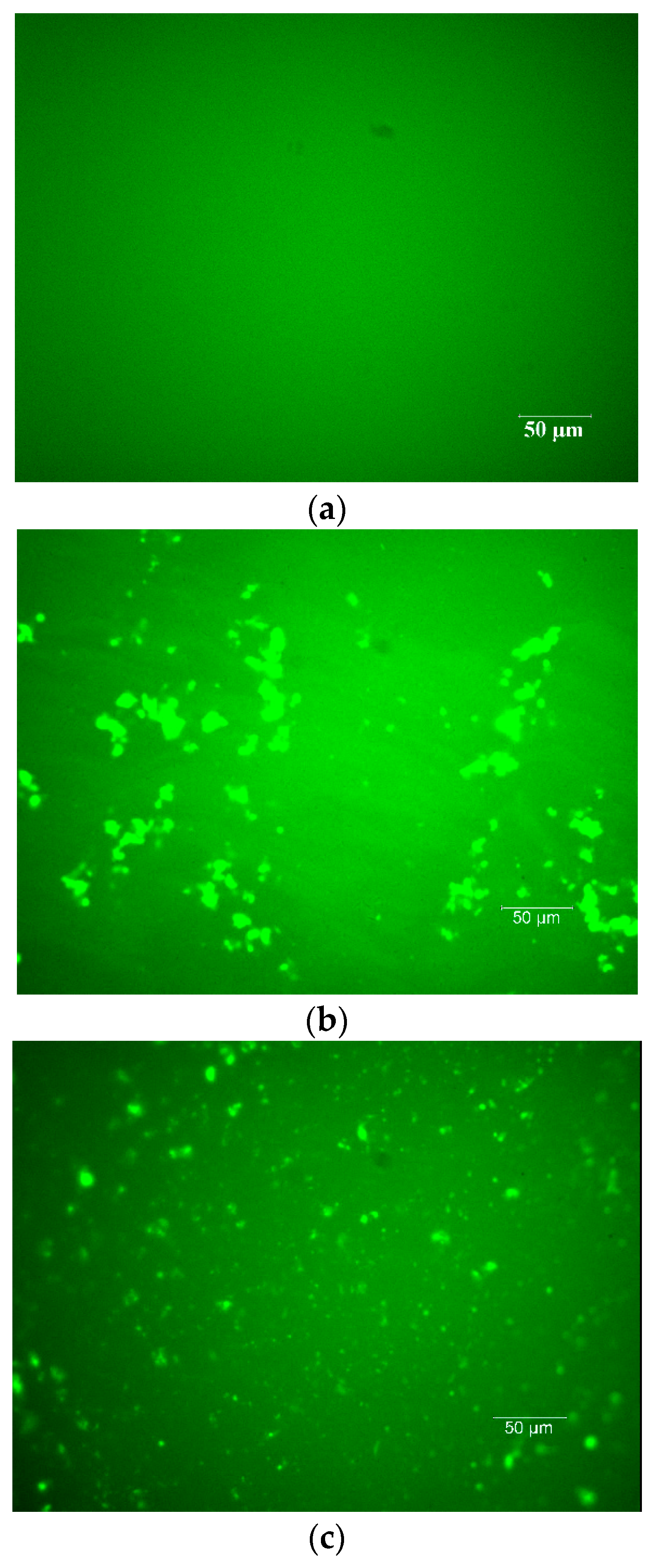 Buildings 13 02167 g010