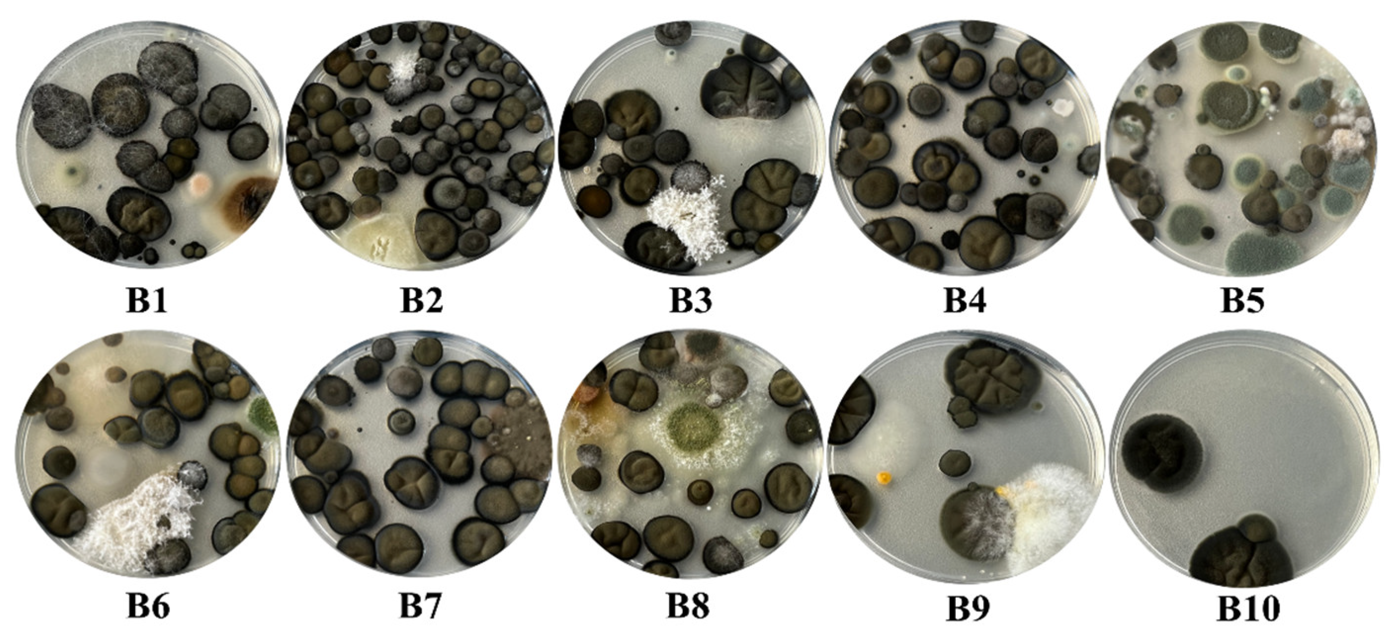 Buildings 13 02277 g007 Buildings 13 02277 g007