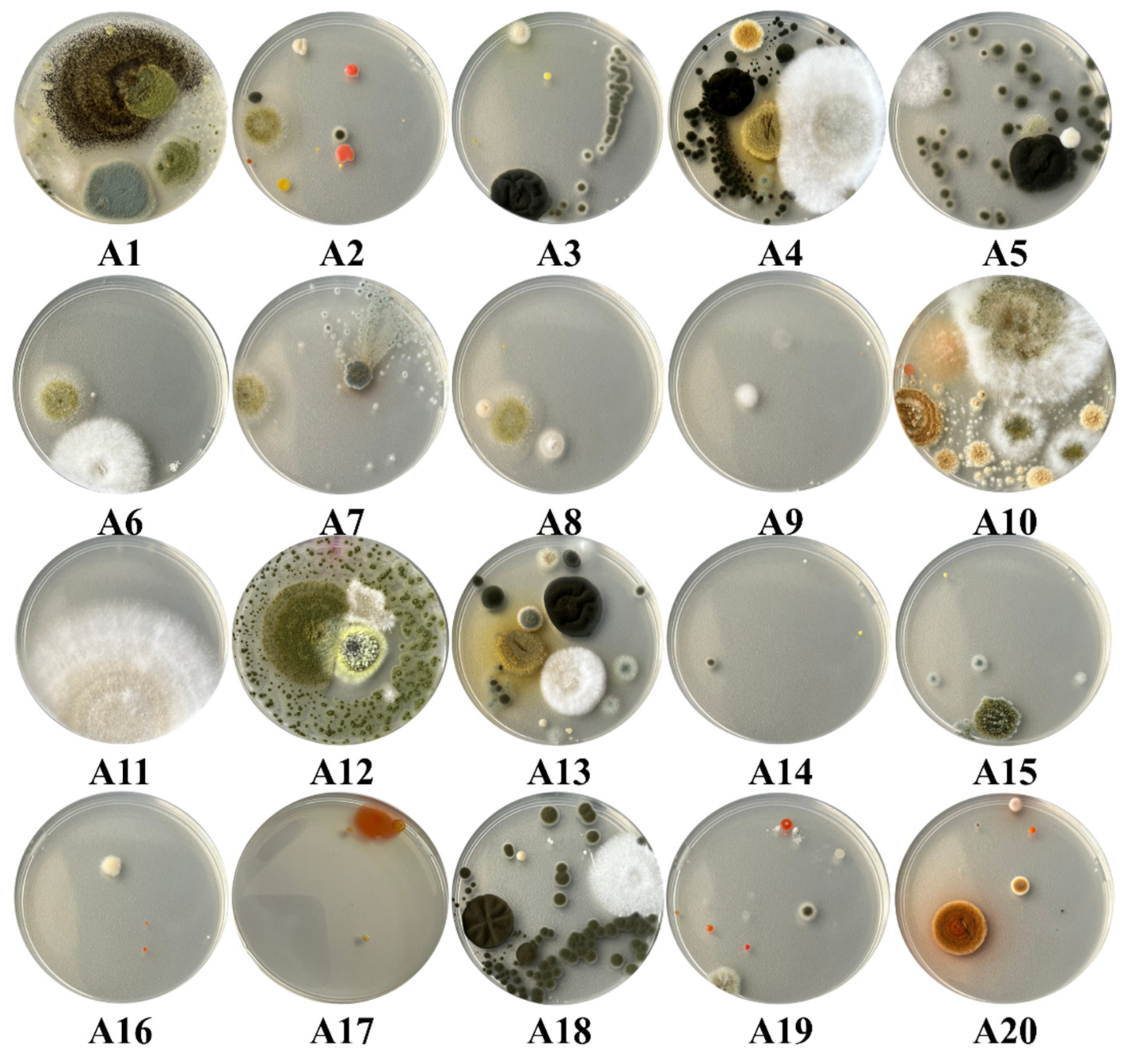 Buildings 13 02277 g008 Buildings 13 02277 g008