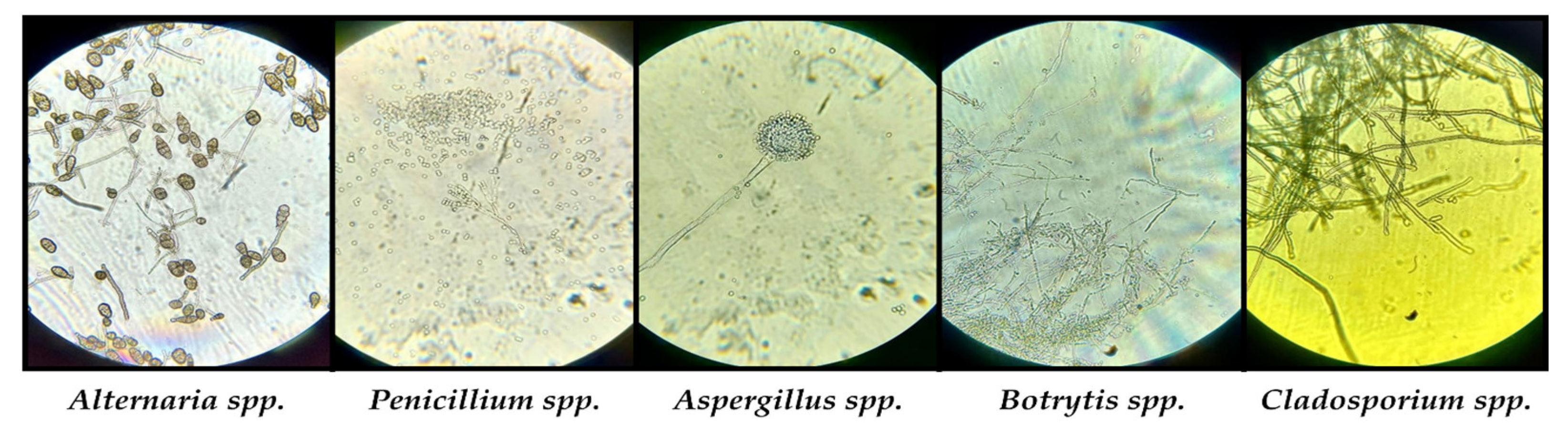 Buildings 13 02277 g010 Buildings 13 02277 g010