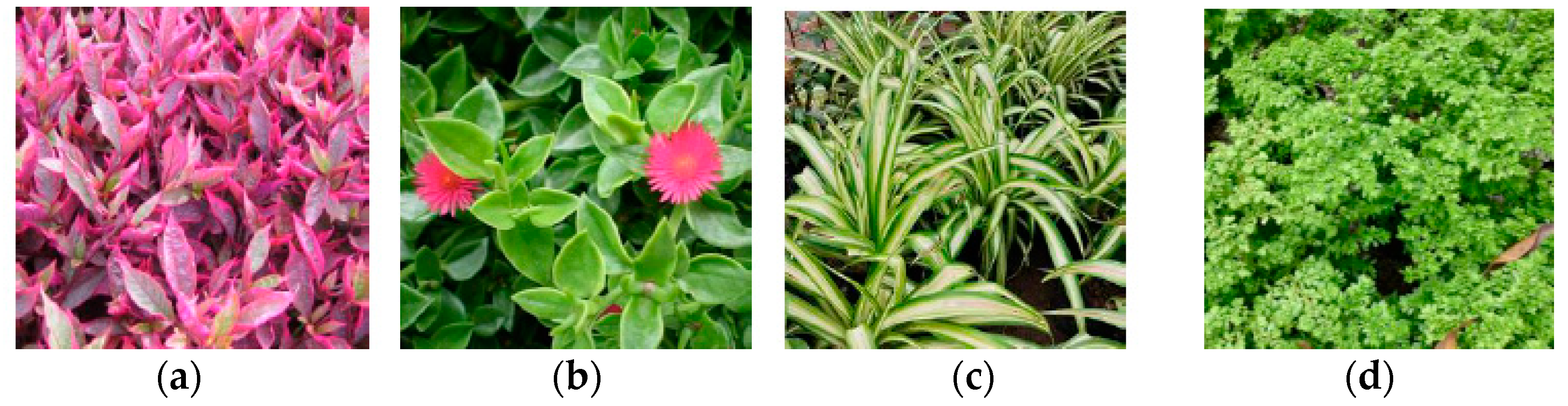 Buildings 13 02301 g011