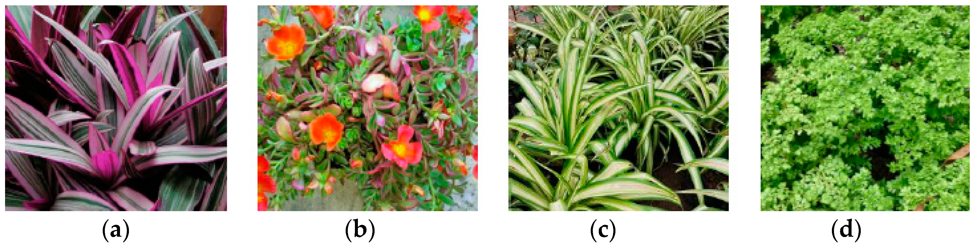 Buildings 13 02301 g012