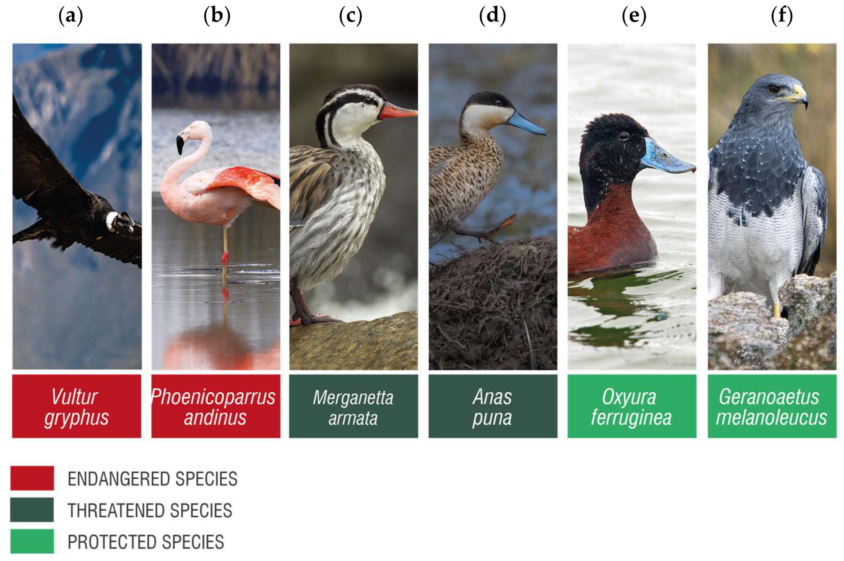 Buildings 13 02345 g020