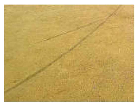 Buildings 13 02369 i002