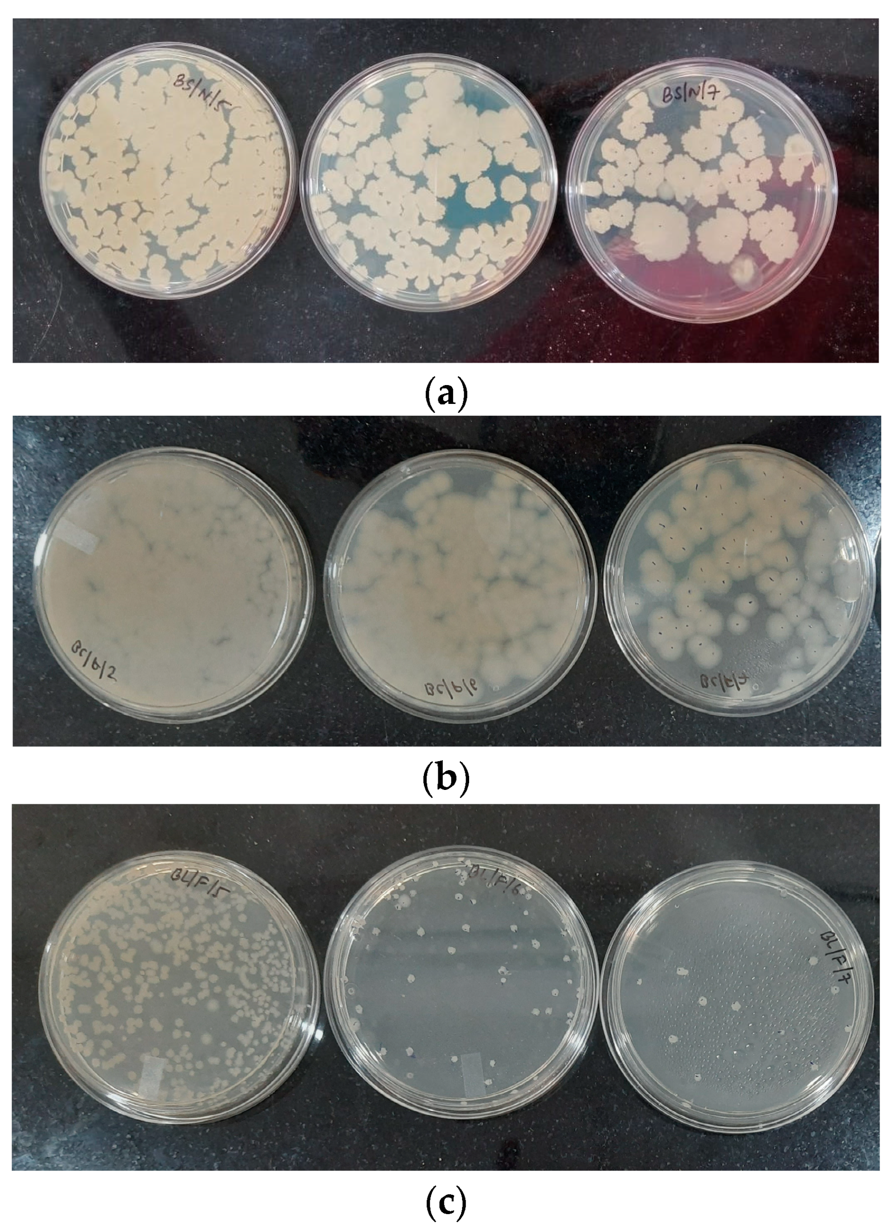 Buildings 13 02392 g003