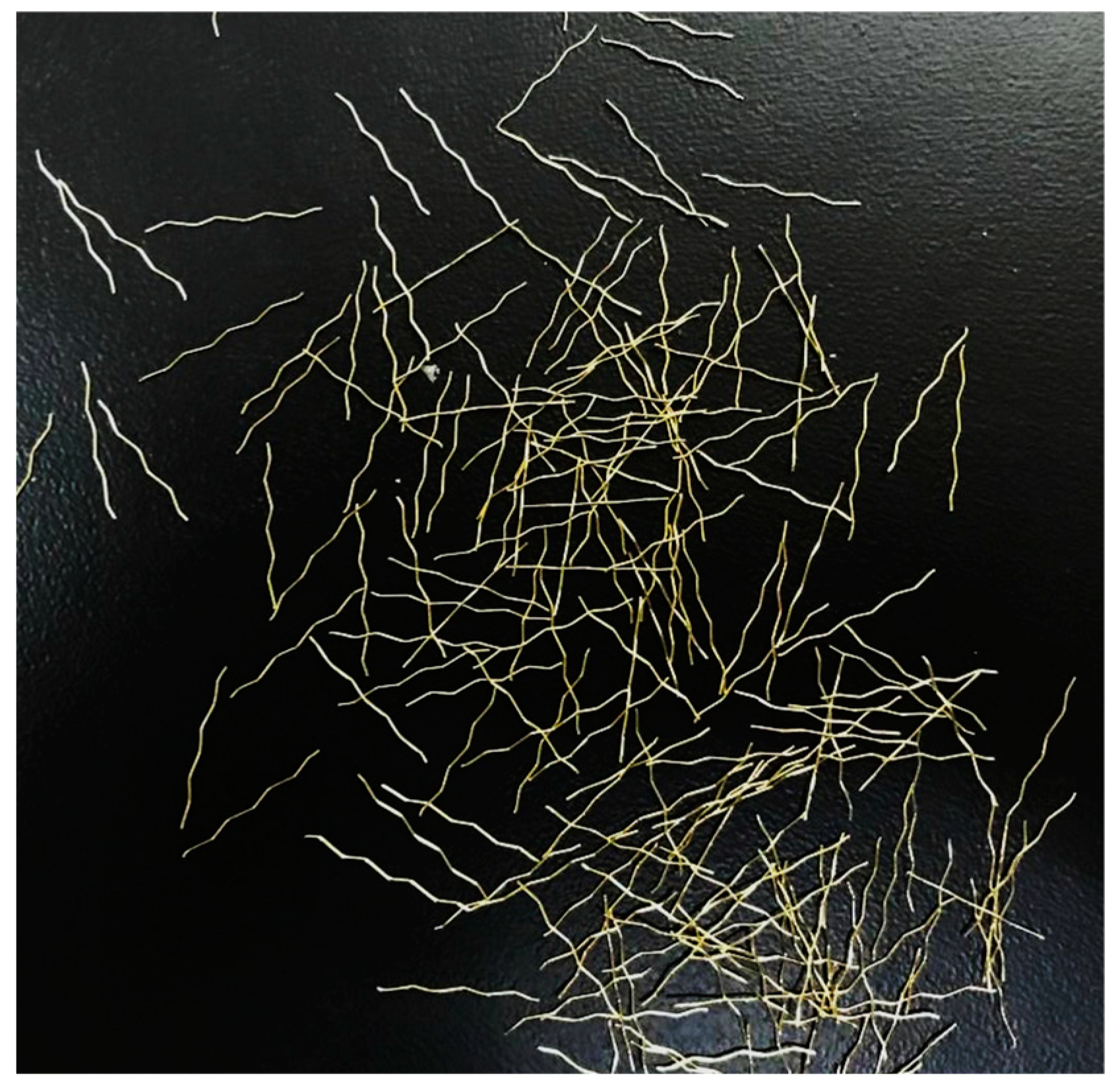 Buildings 13 02591 g002