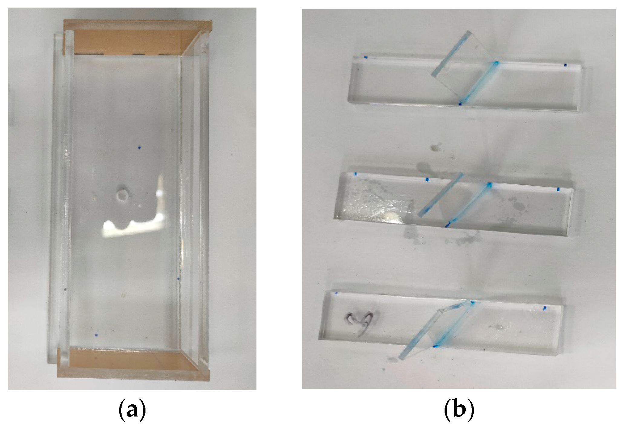 Damage Behavior Study of Specimens with Double-Prefabricated