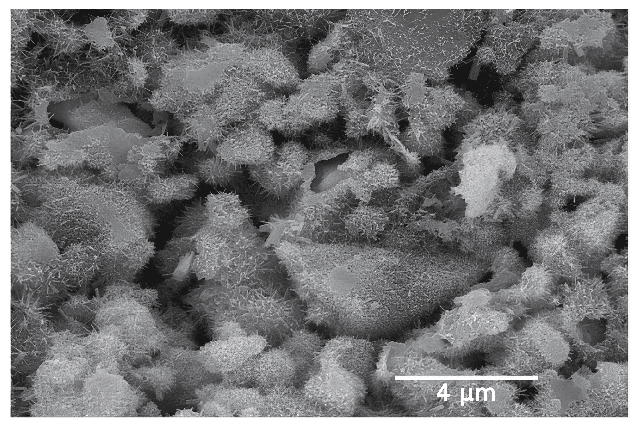 Buildings 13 02815 g006