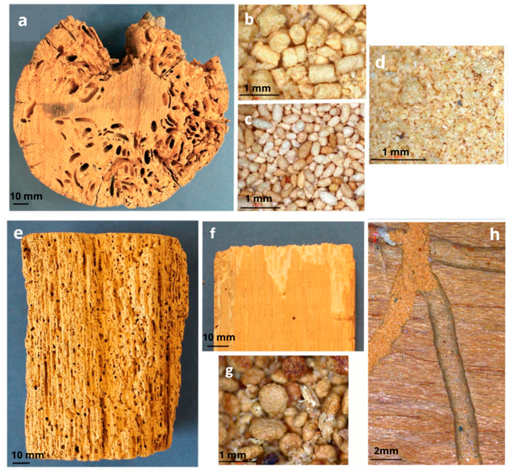 Buildings 13 02929 g003 Buildings 13 02929 g003