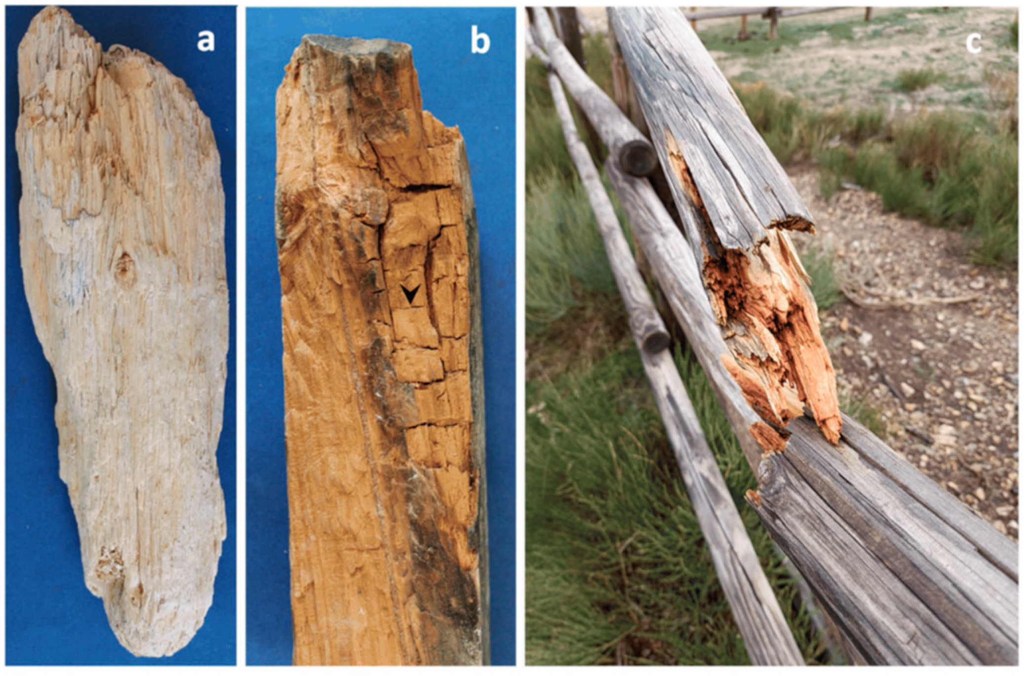 Buildings 13 02929 g005 Buildings 13 02929 g005