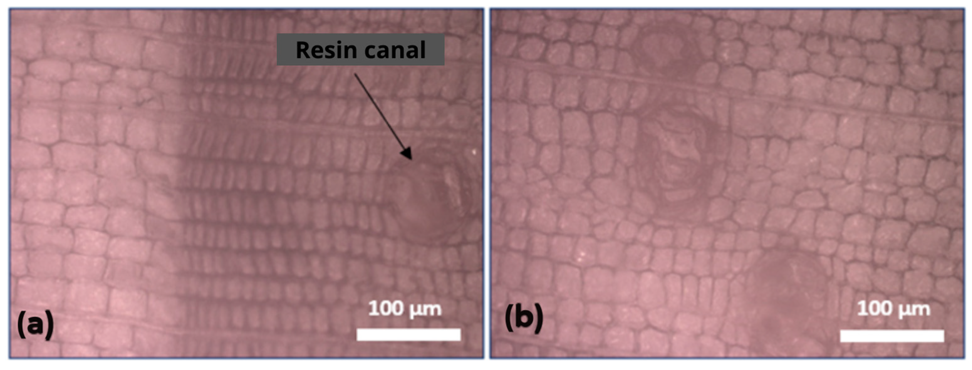 Buildings 13 02929 g012 Buildings 13 02929 g012