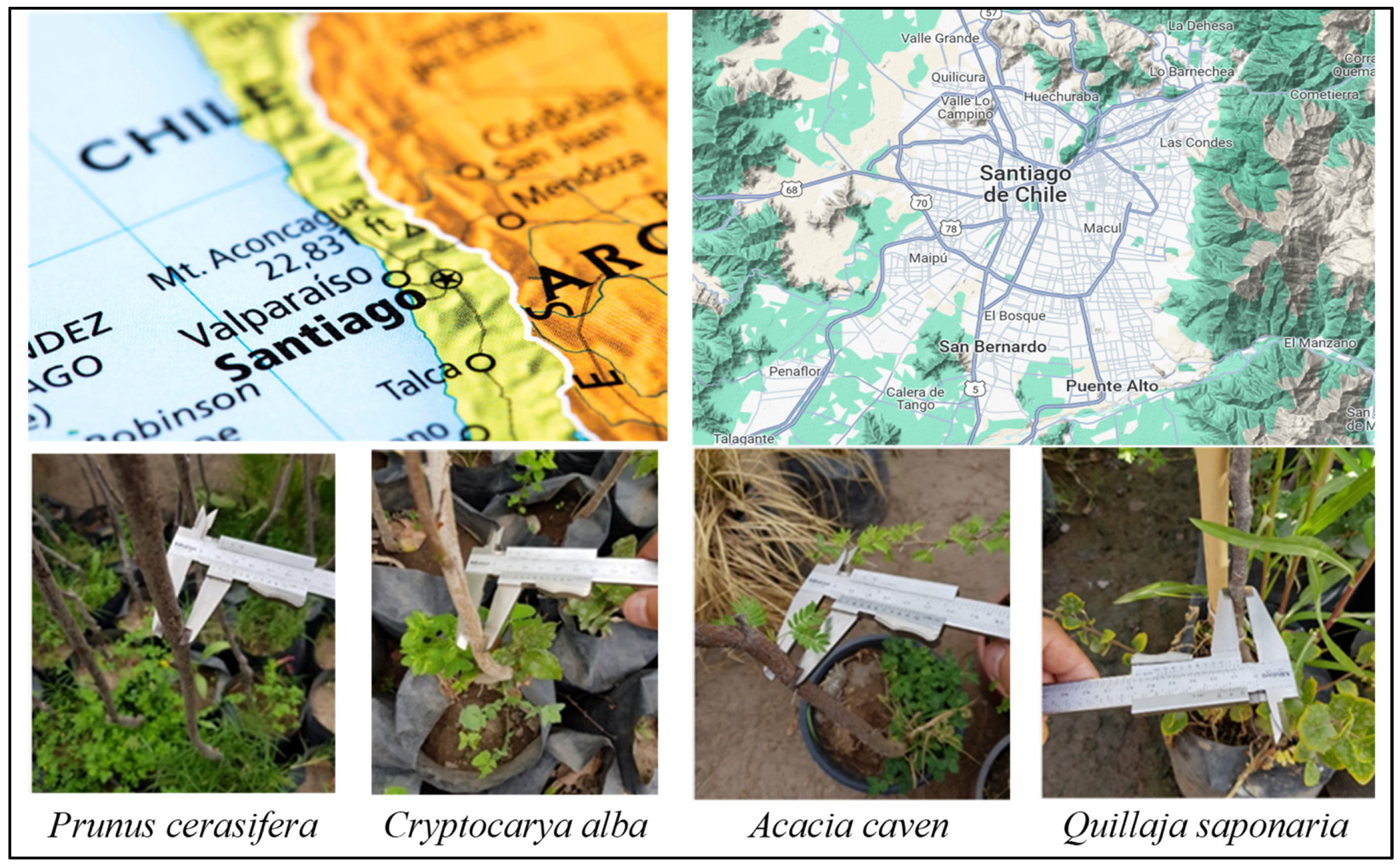 Buildings 13 03052 g001