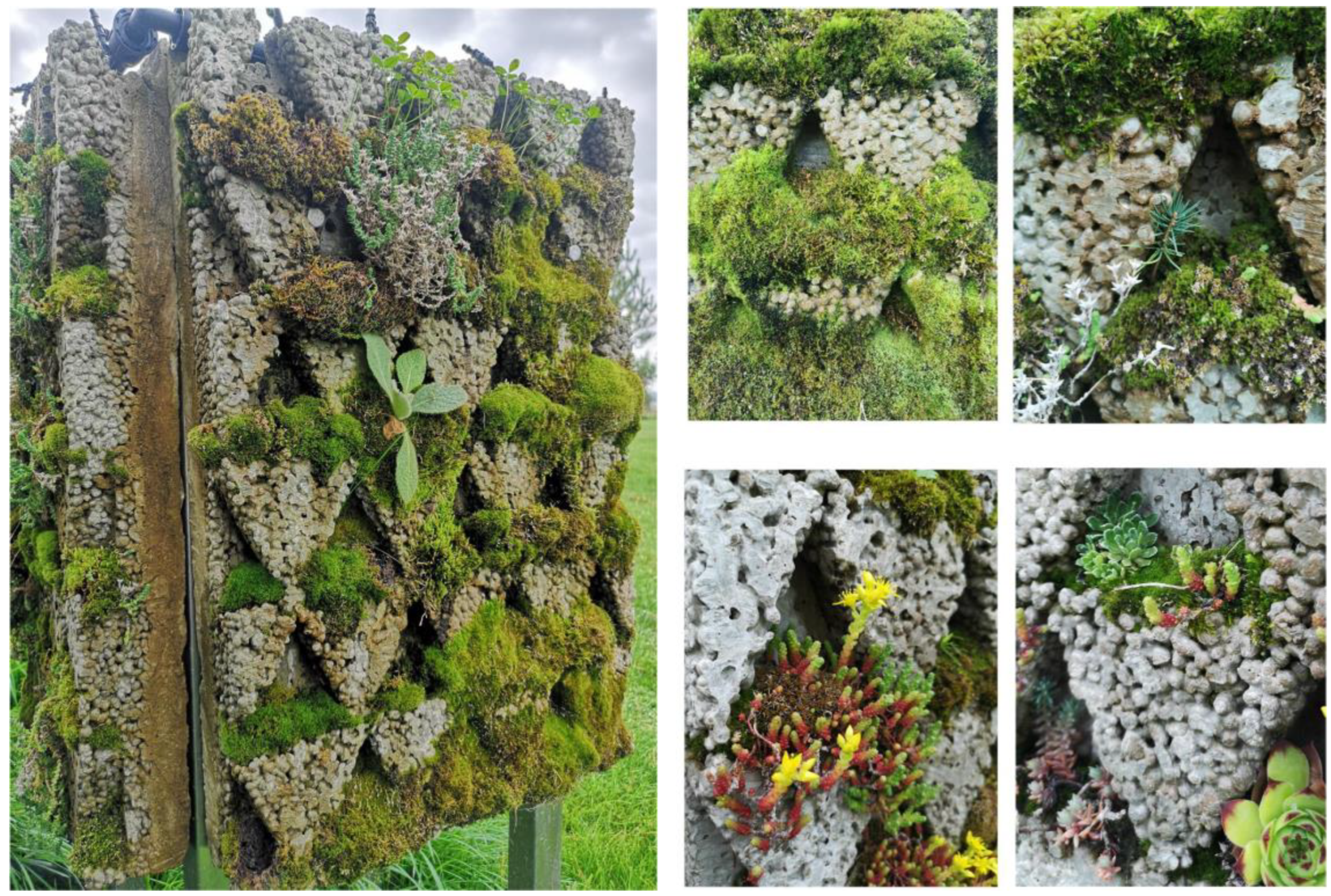 Buildings 13 03067 g001