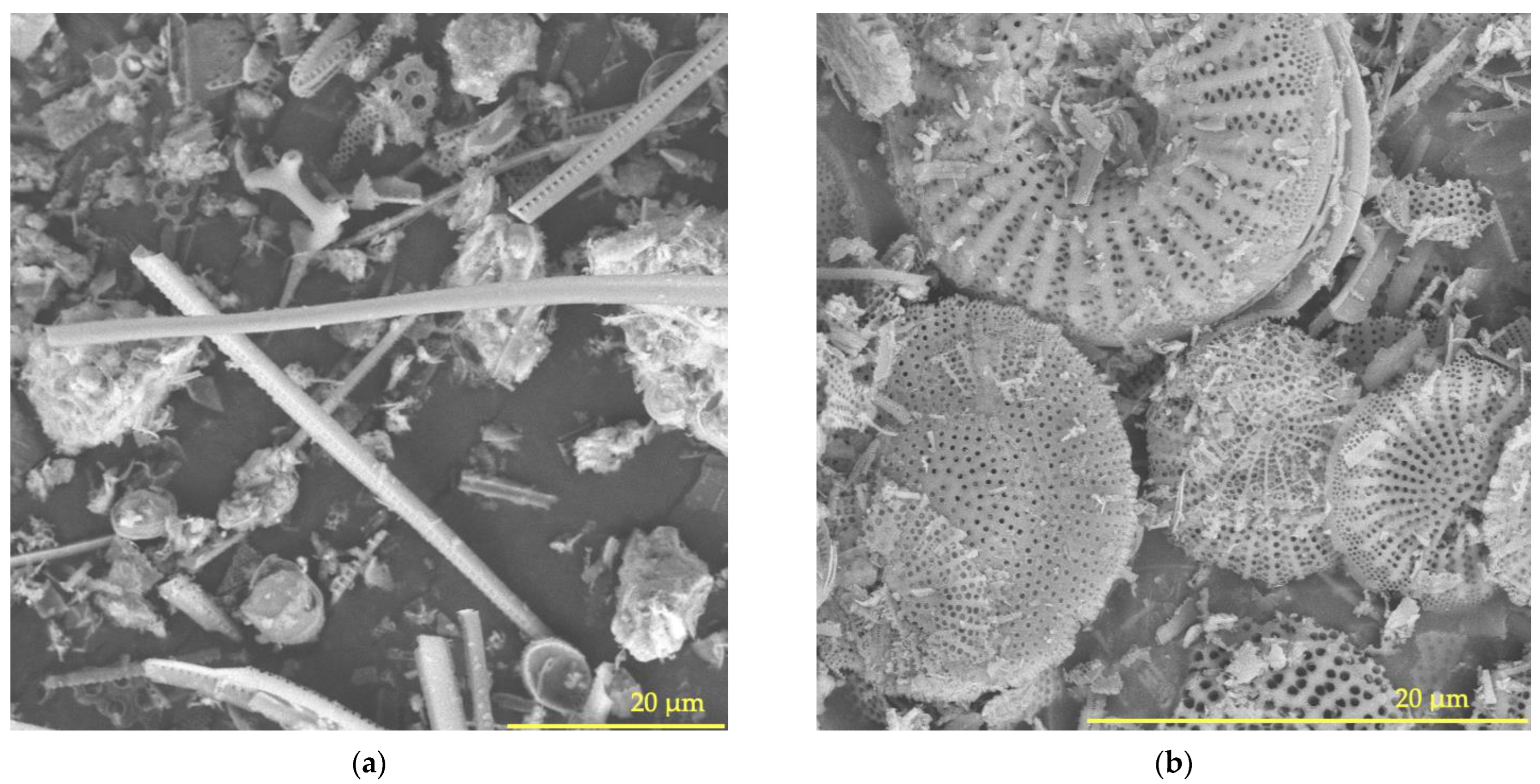 Buildings 14 00048 g002