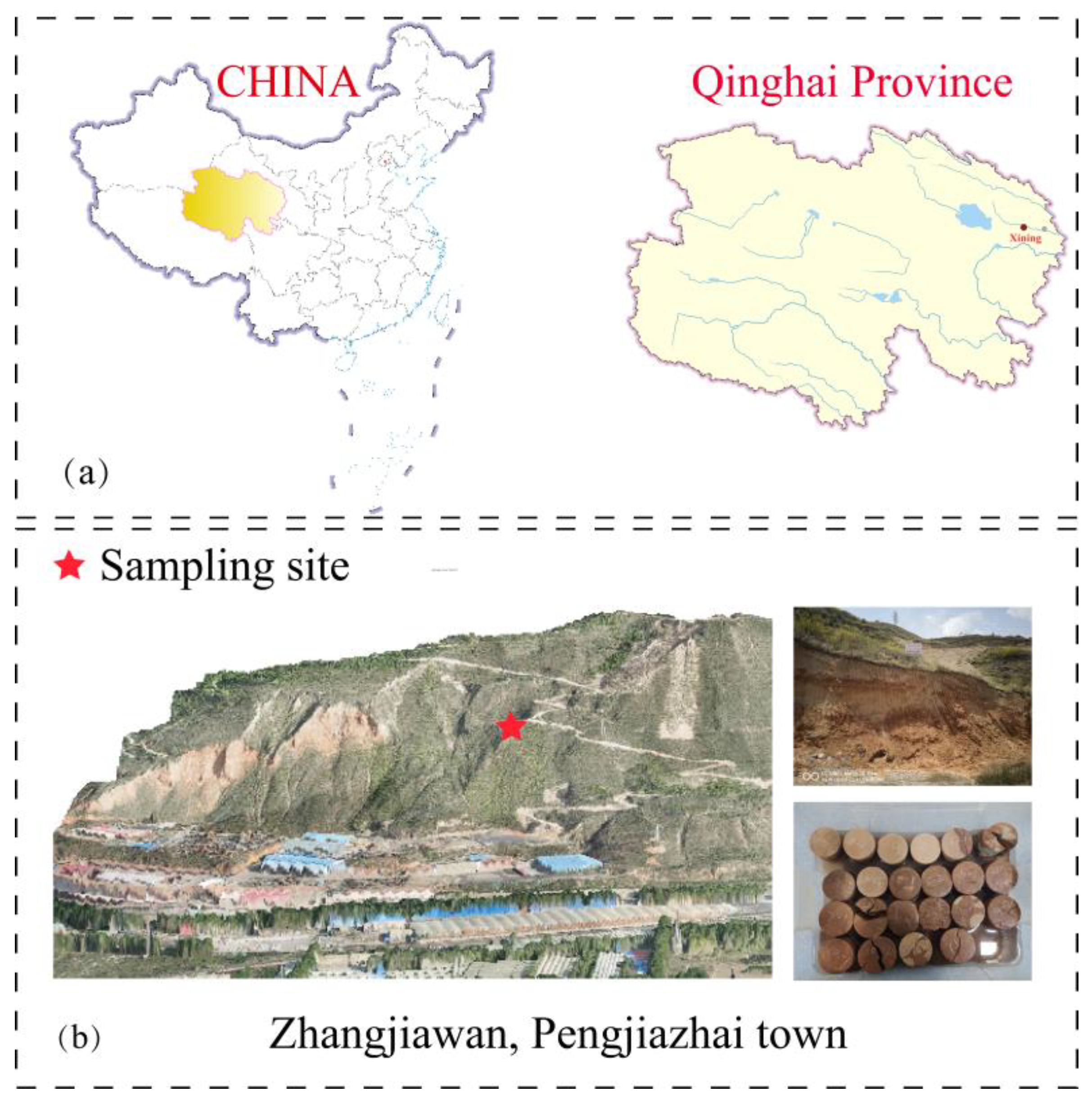 Investigation of the Disintegration Characteristics of