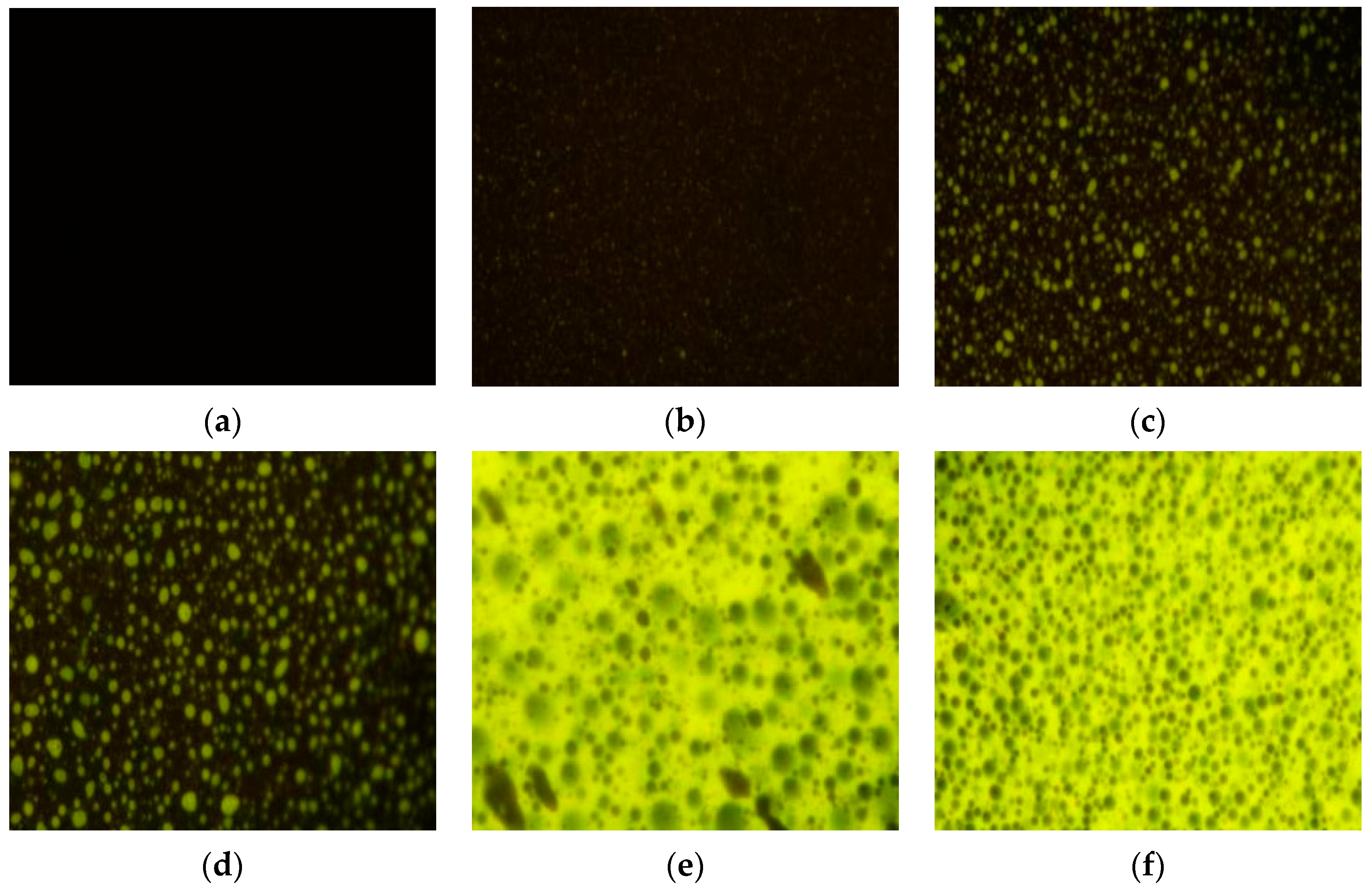 Buildings 14 00443 g002