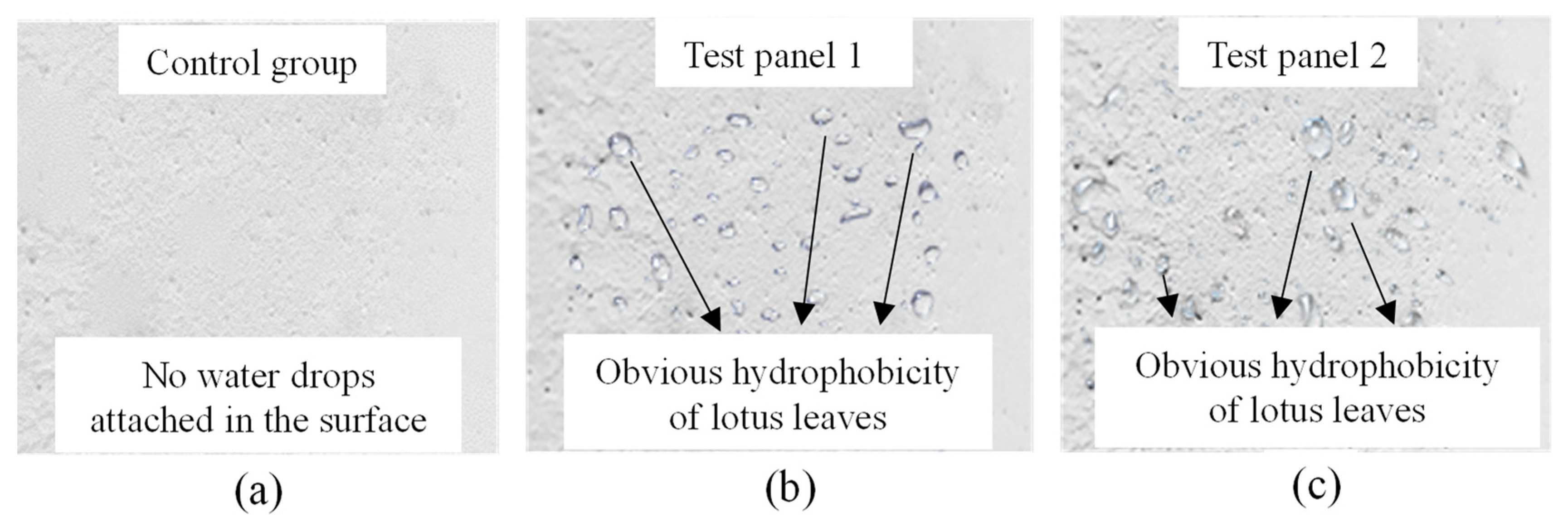 Buildings 14 00459 g010