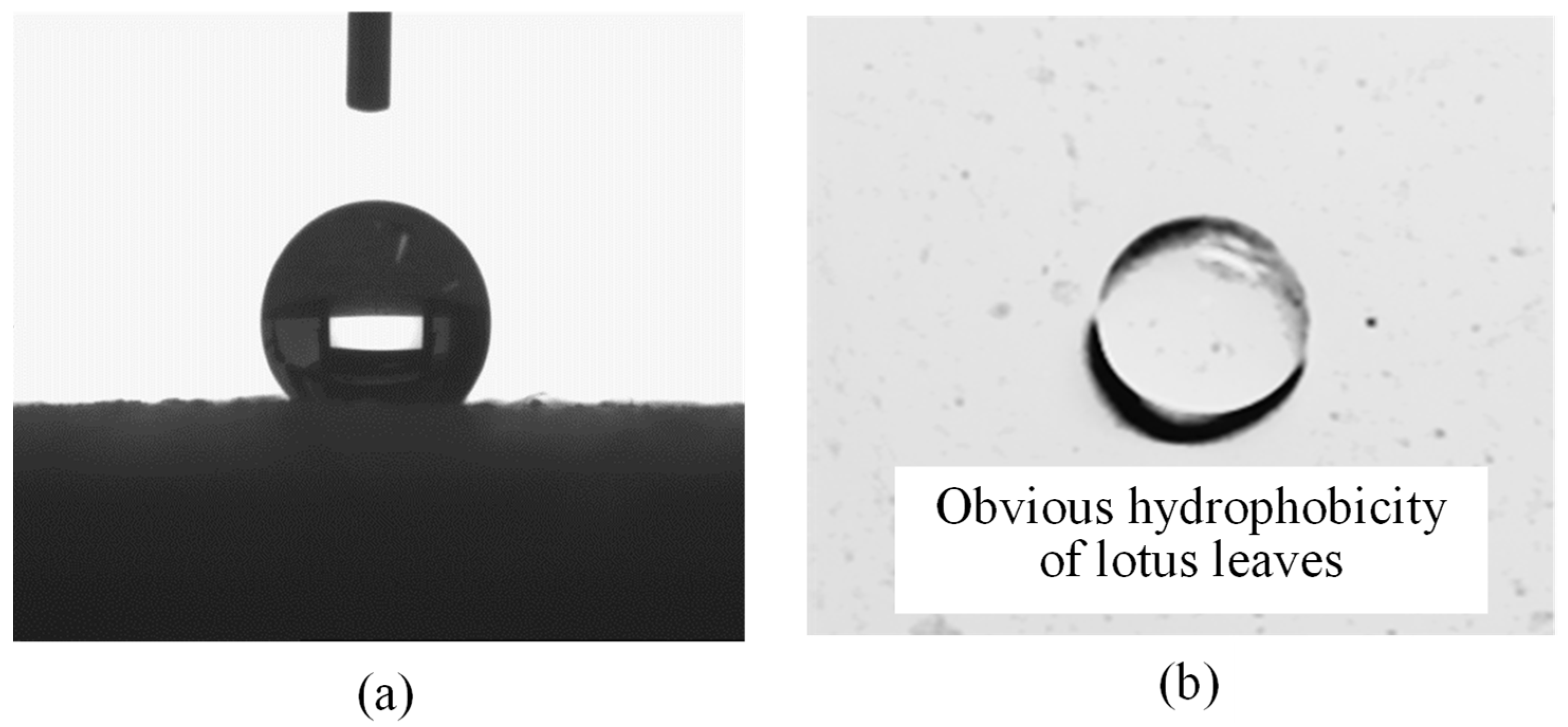 Buildings 14 00459 g012