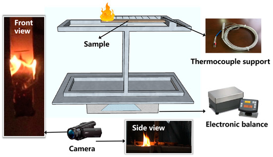 Influences of Species and Density on the Horizontal Flame