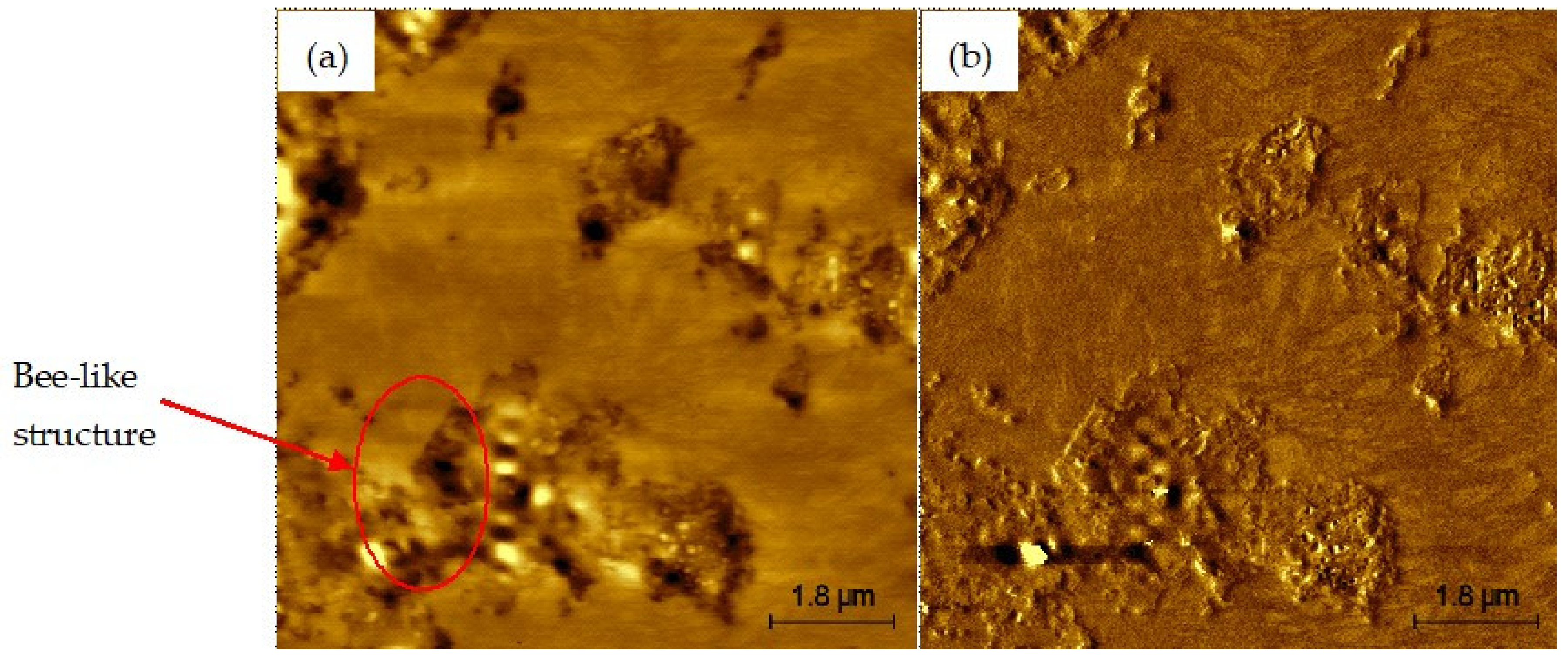 Buildings 14 00642 g006