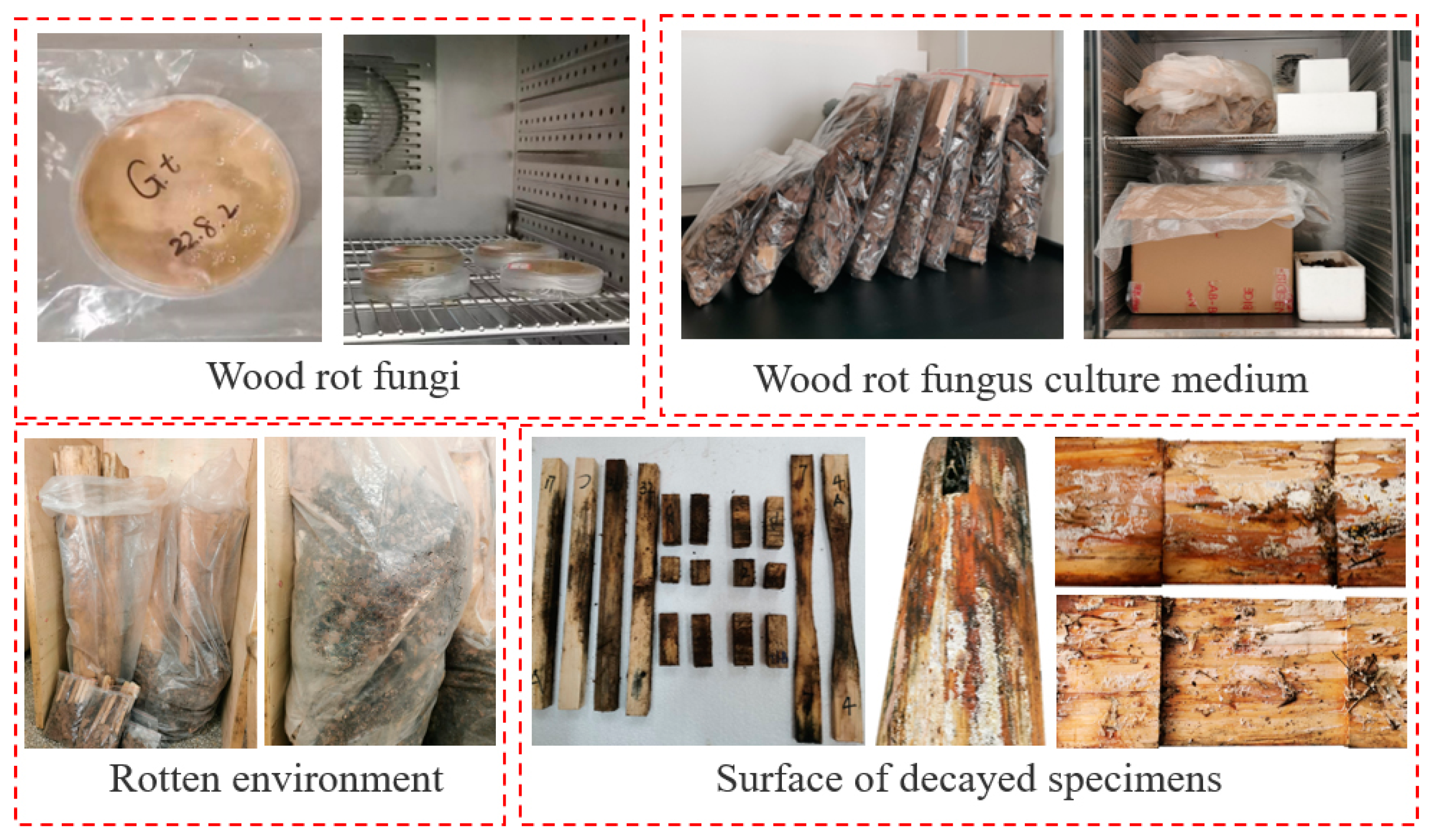 Buildings 14 00725 g004