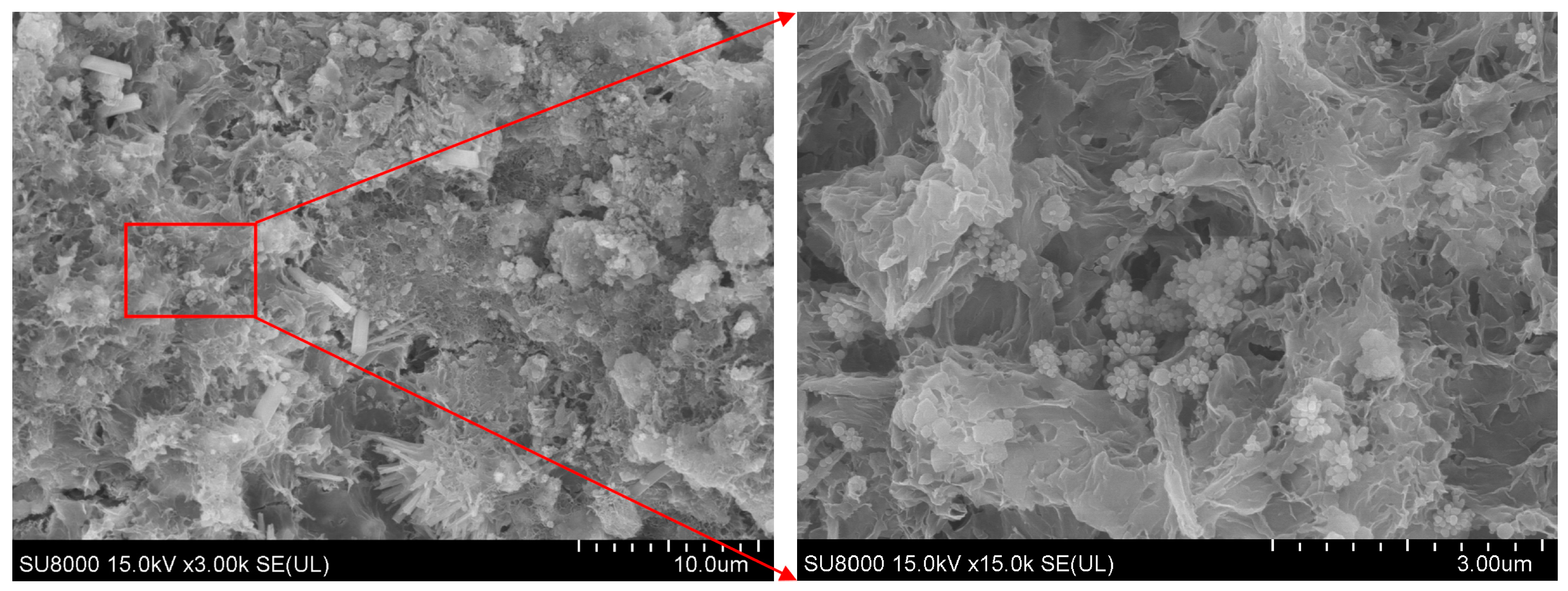 Buildings 14 00729 g008