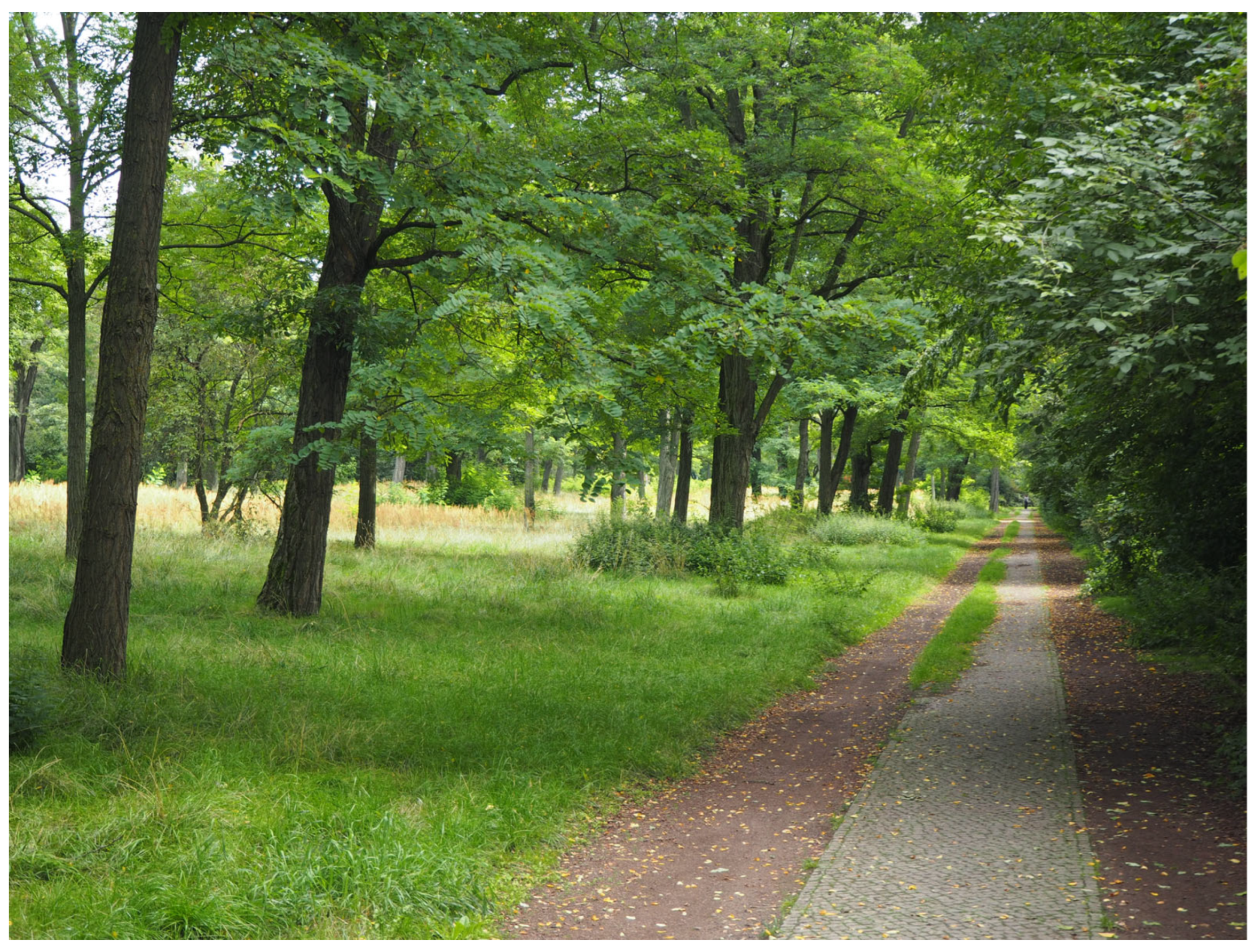 Buildings 14 00900 g013