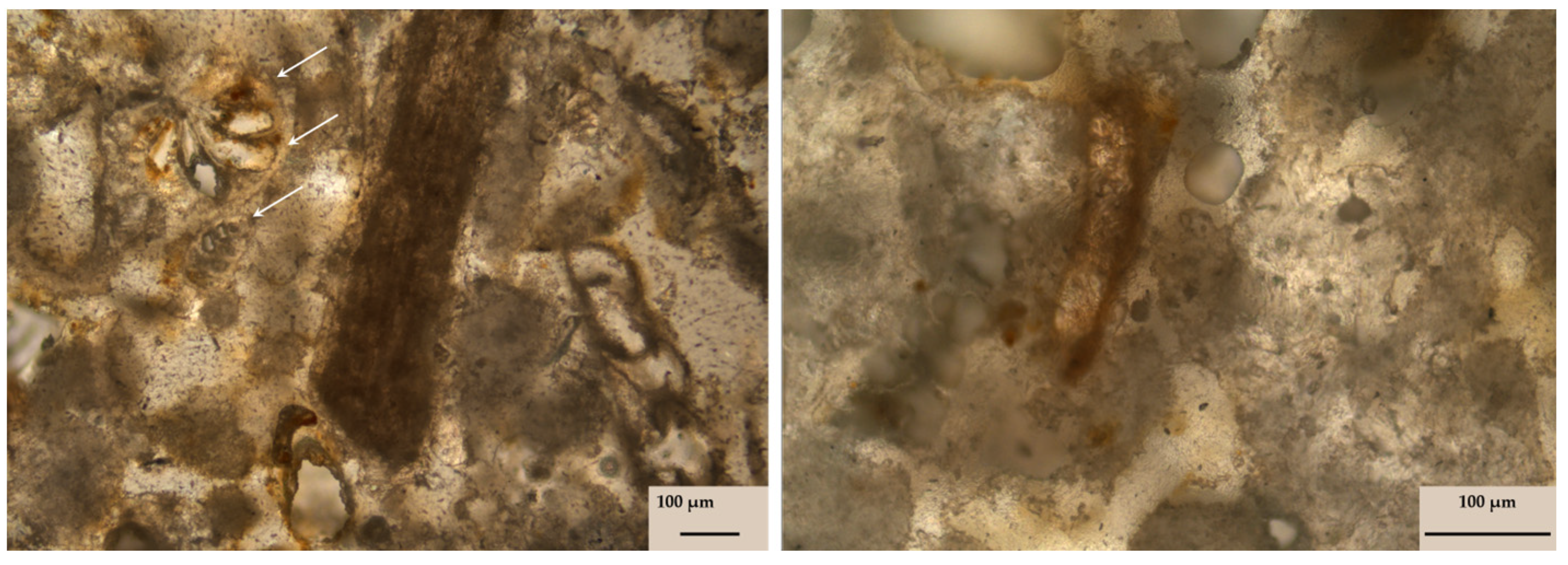 Buildings 14 00940 g003