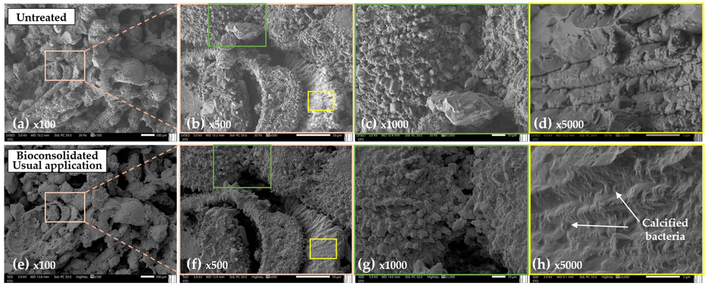 Buildings 14 00940 g008