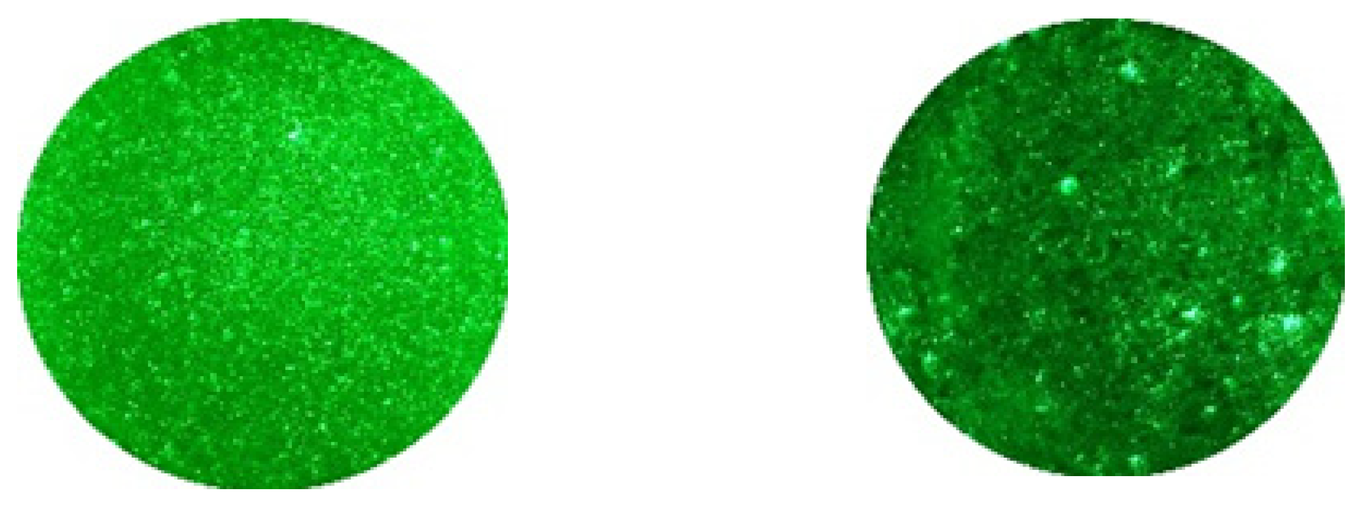 Buildings 14 00959 g001