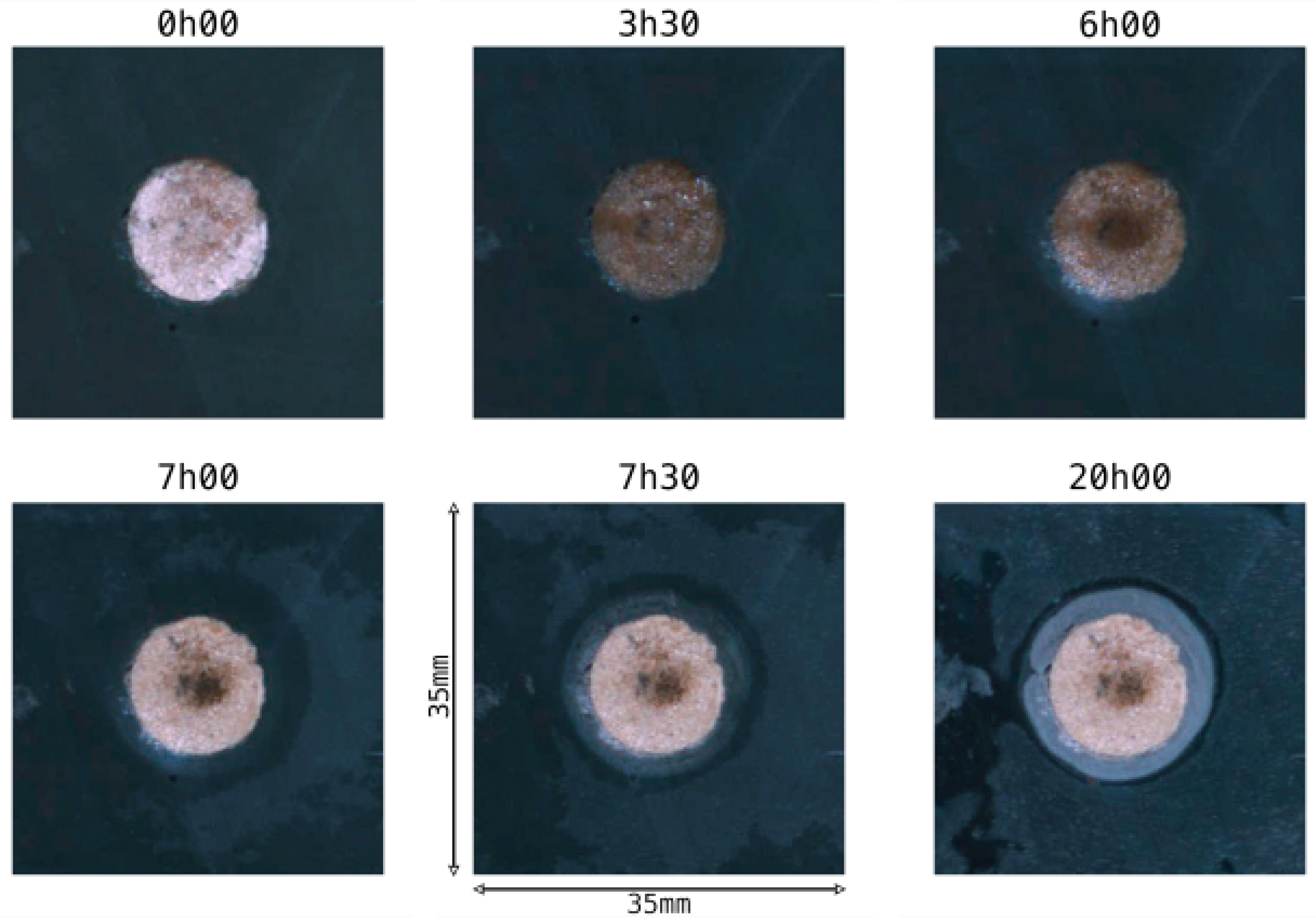 Buildings 14 01000 g015