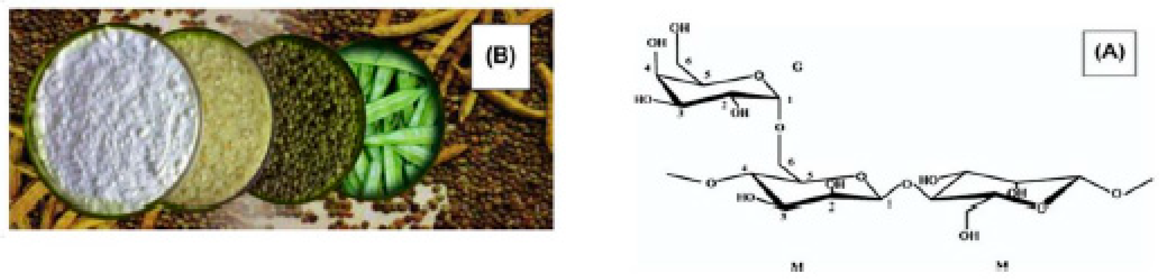 Buildings 14 01140 g004