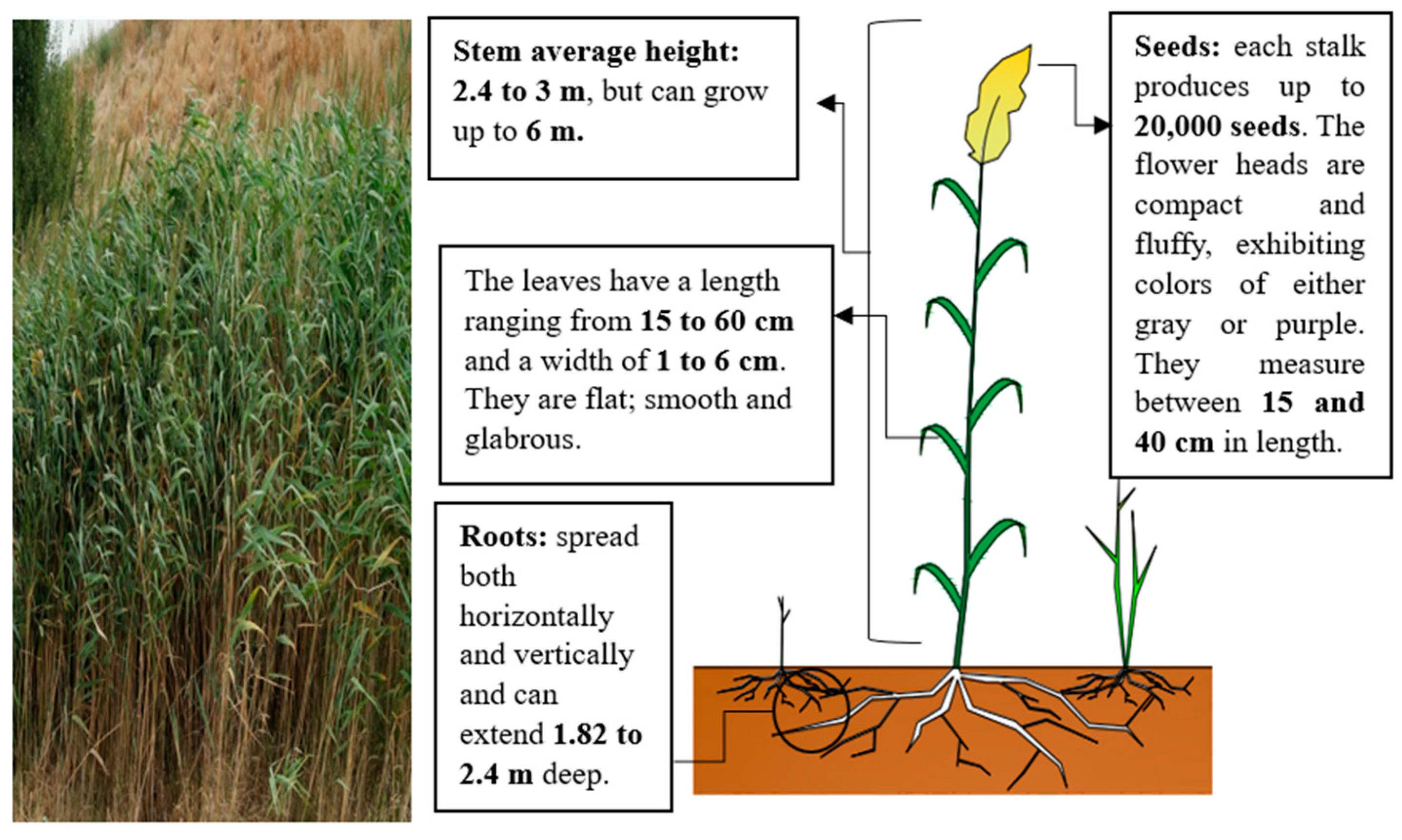 Buildings 14 01170 g001
