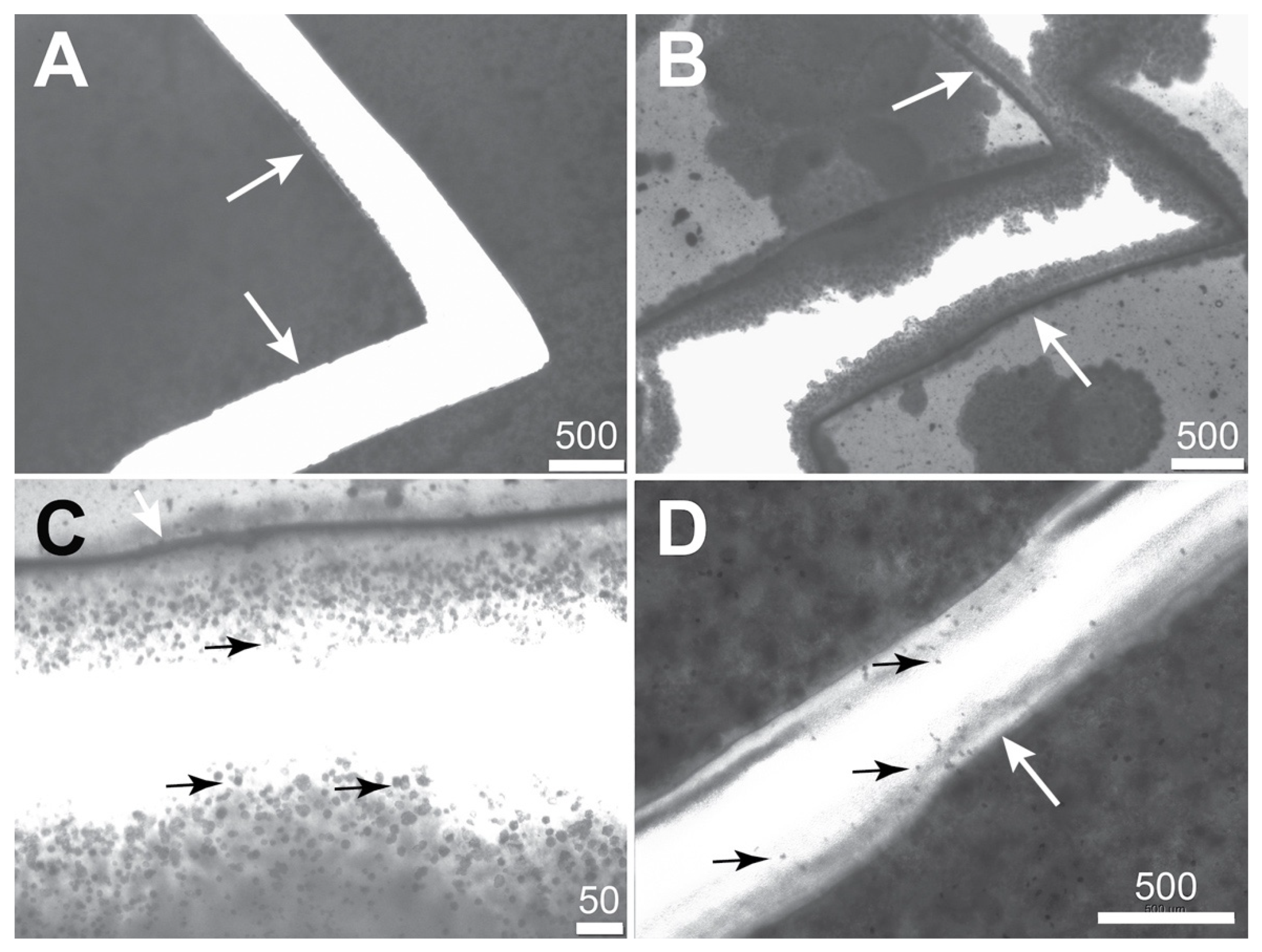 Buildings 14 01202 g002