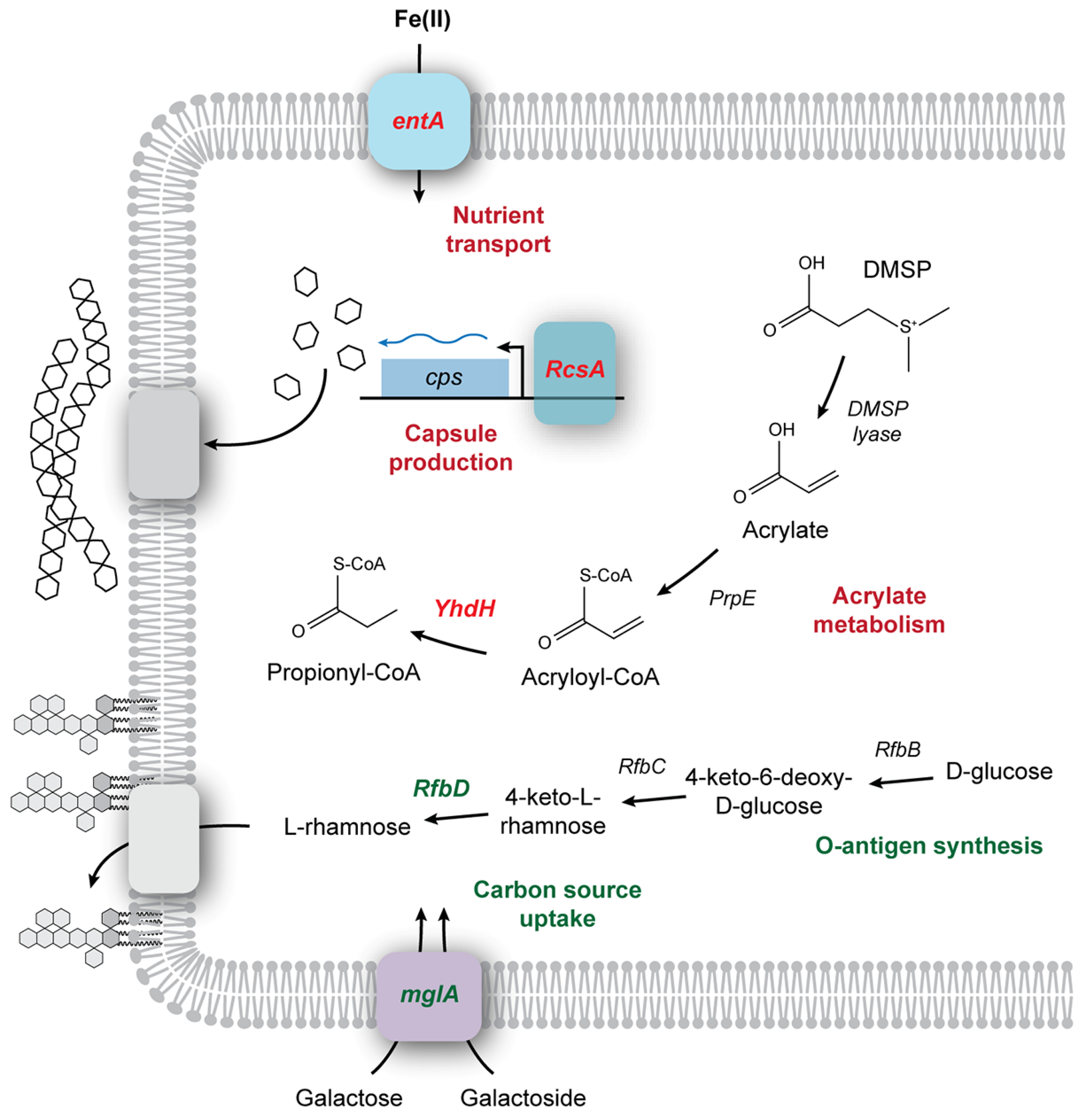 Buildings 14 01202 g005
