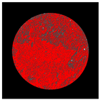 Buildings 14 01217 i002